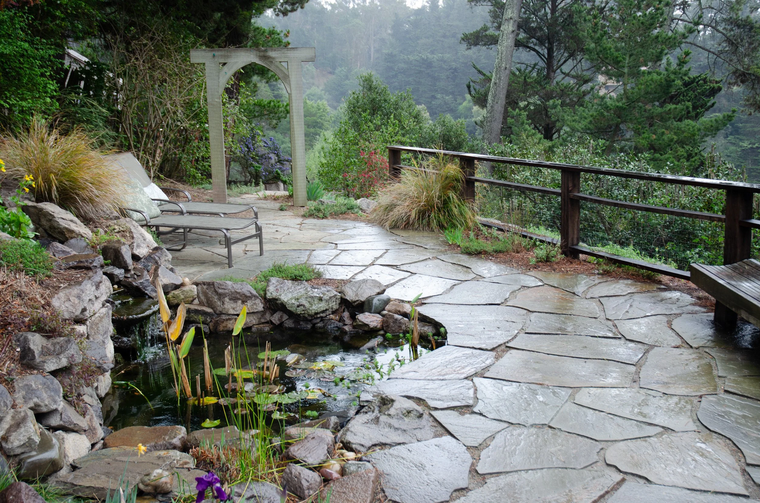 A small pond and waterfall add movement and tranquility to this hillside garden.