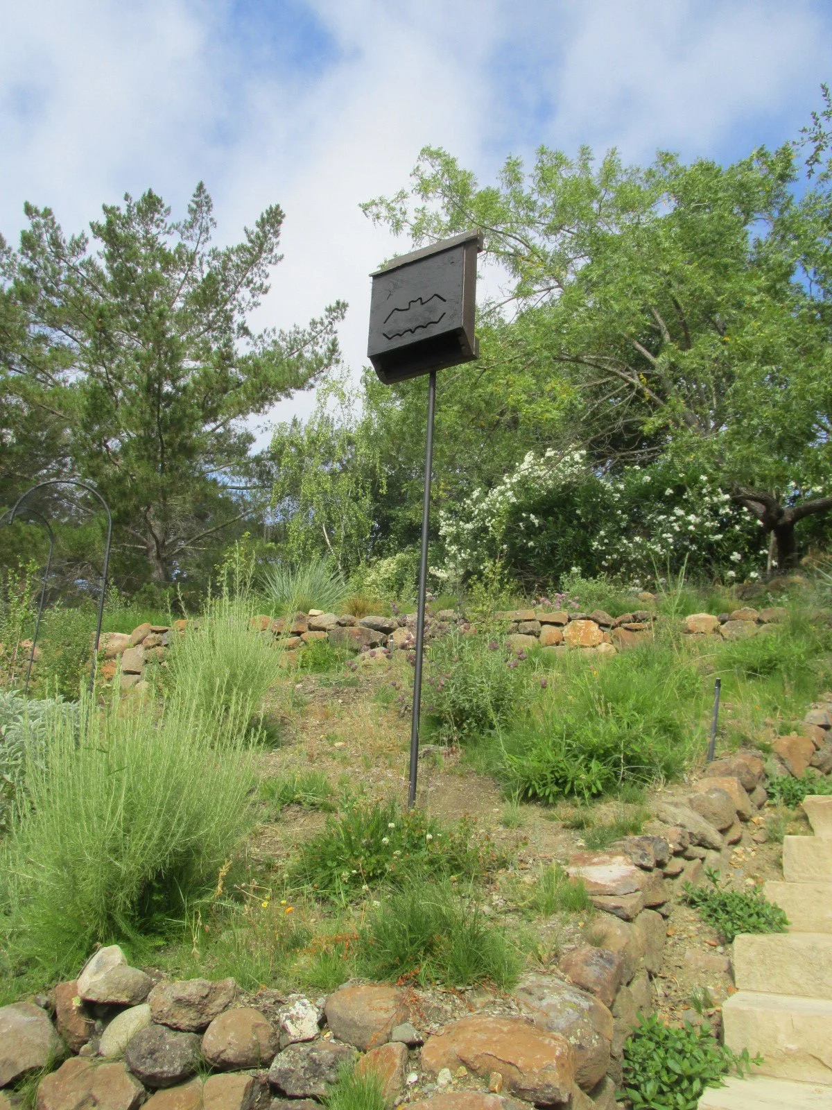 A carefully placed bat box on a post to give local bats a place to roost in this California native wildlife garden.