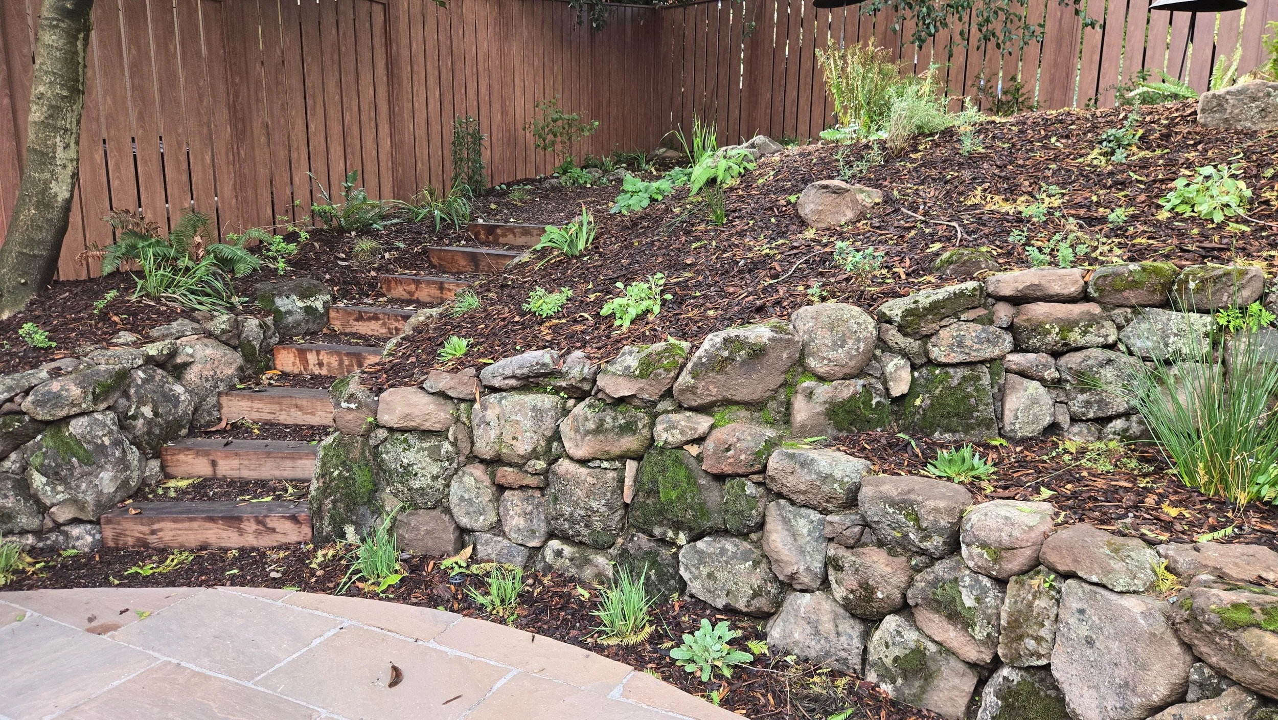 Dry stacked moss rock stone wall with timber tie curving landscape steps and a geometric stone paver patio in a california native plant landscape.