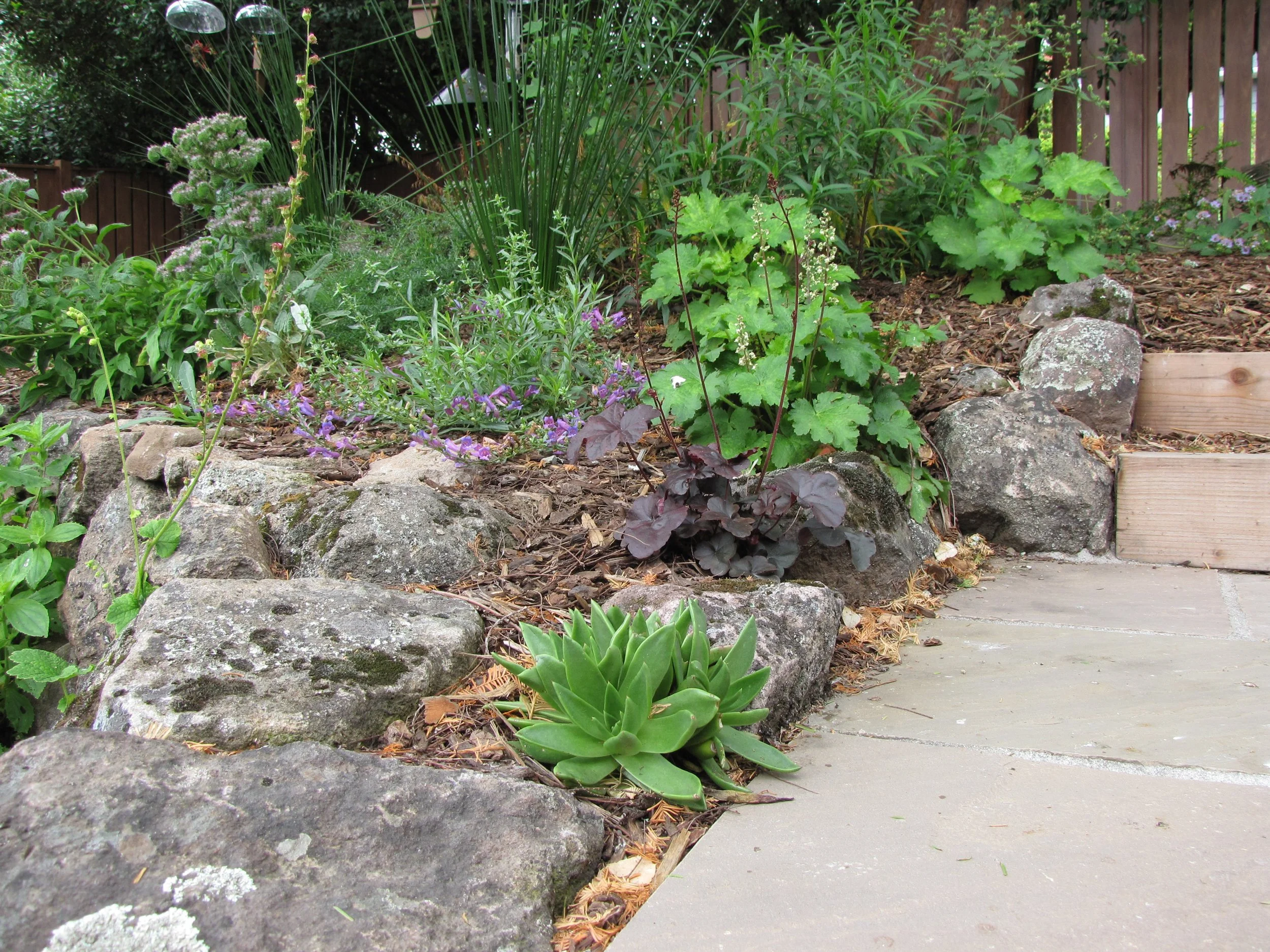 Moss rock walls and california native plants next to a stone walkway and timber tie steps