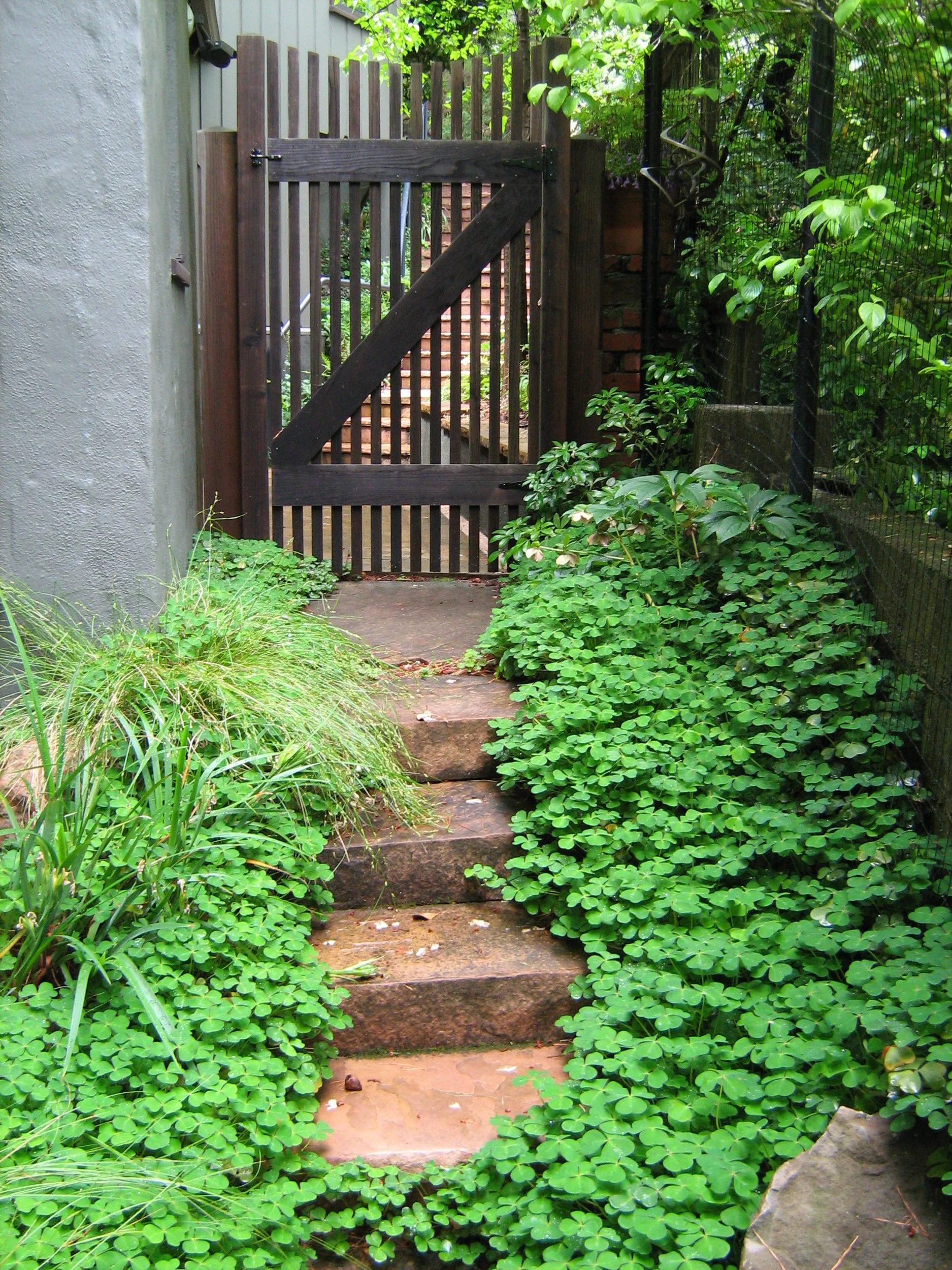 A wooden gate with vertical slats past a stone stairway with greenery