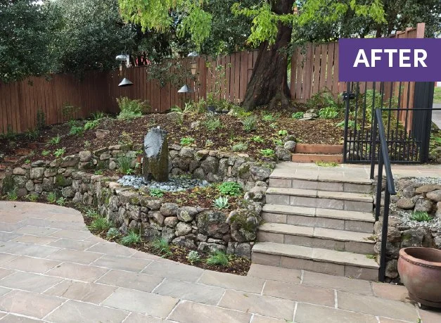 After image of a firesafe bird garden in Berkeley, California with moss rock walls and california native plants