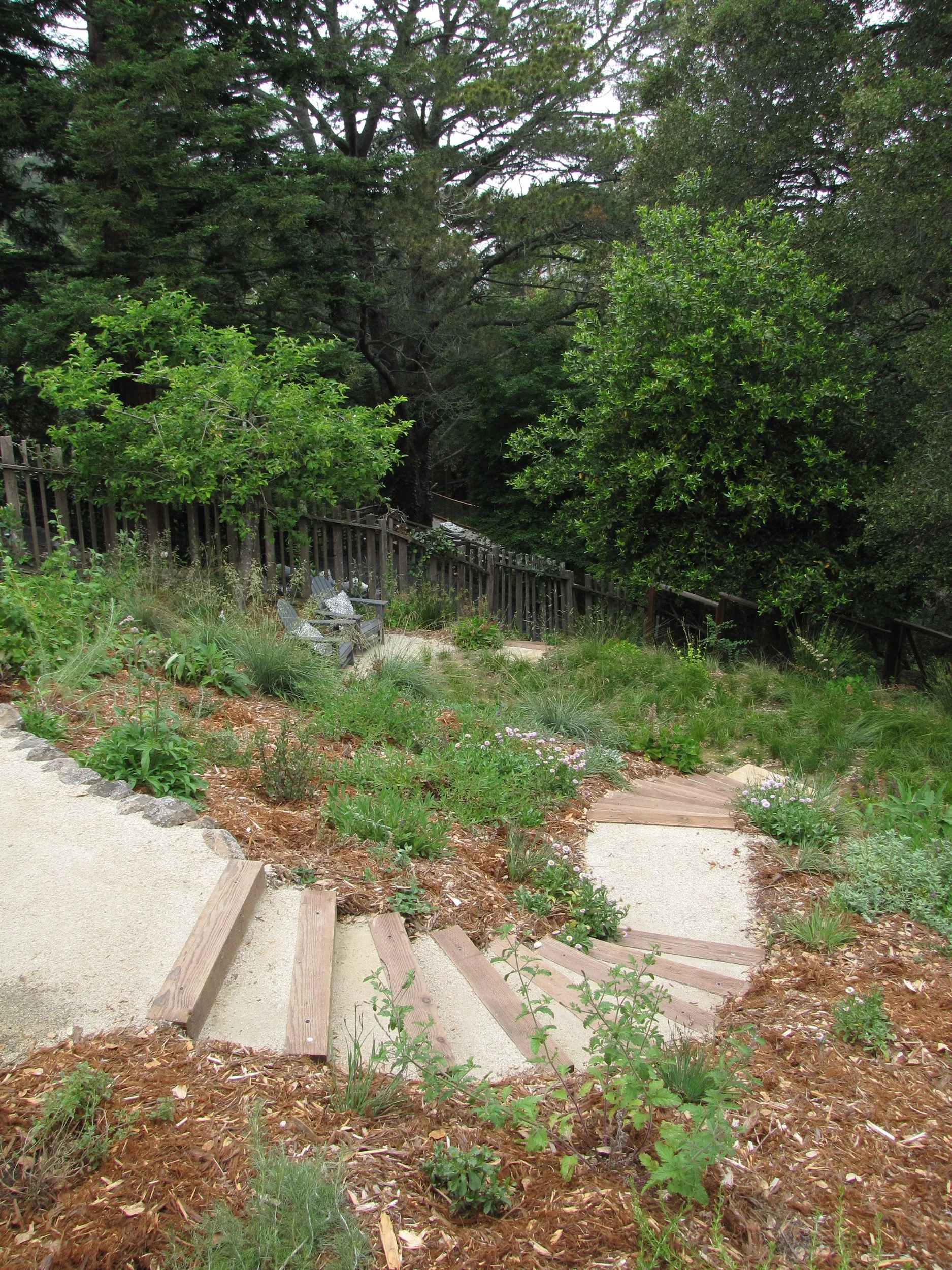 Timber tie curved wood steps with tan decomposed granite backfill in a mulched california native plant residential hillside landscape.