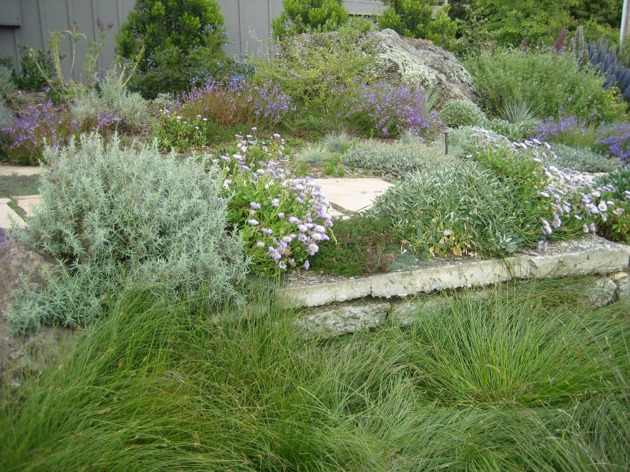 Stacked urbanite repurposed reused concrete retaining wall with california native plants.