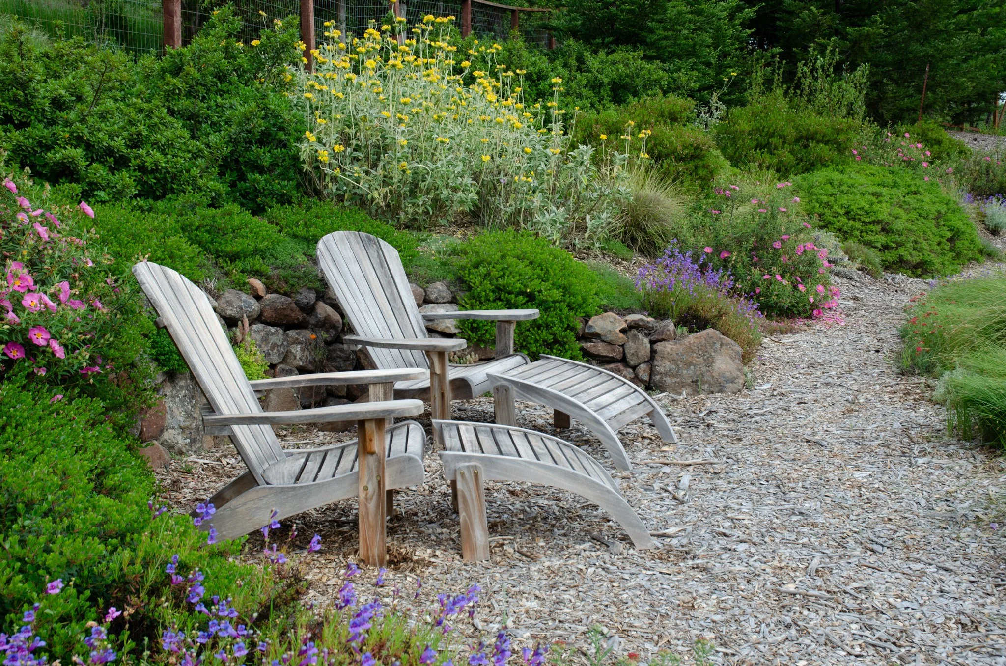 Two wooden adirondack lounge chairs on a mulch patio with a dry stacked moss rock wall and dry garden sunny perennial plants.