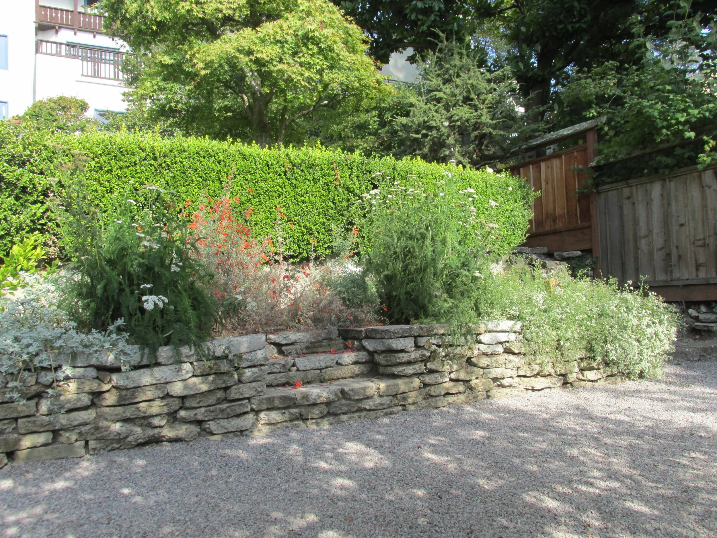 Stacked urbanite repurposed reused concrete retaining wall with california native plants.