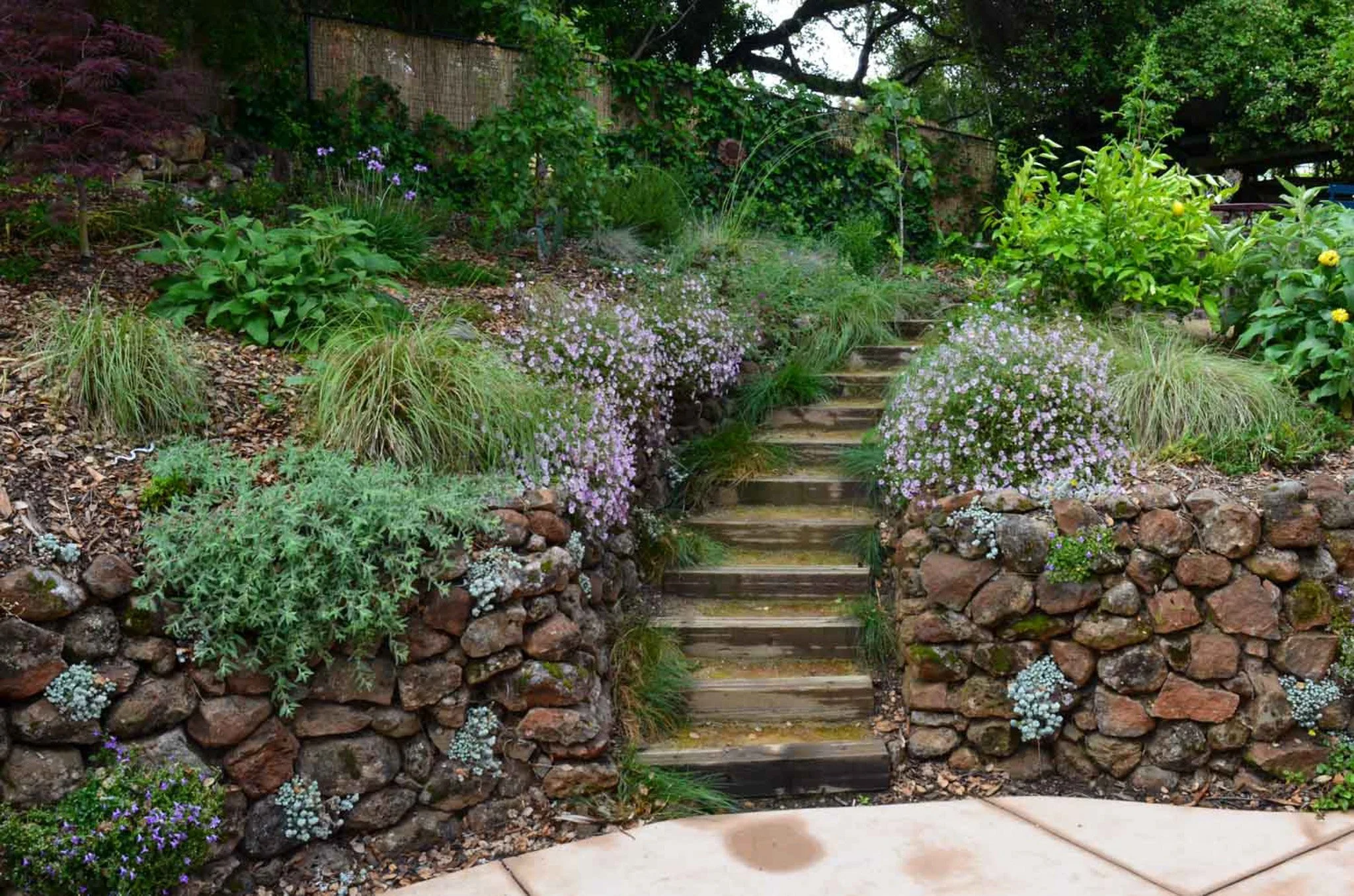 Dry stacked moss rock stone wall with wood  timber tie curving stairs and california native plants.