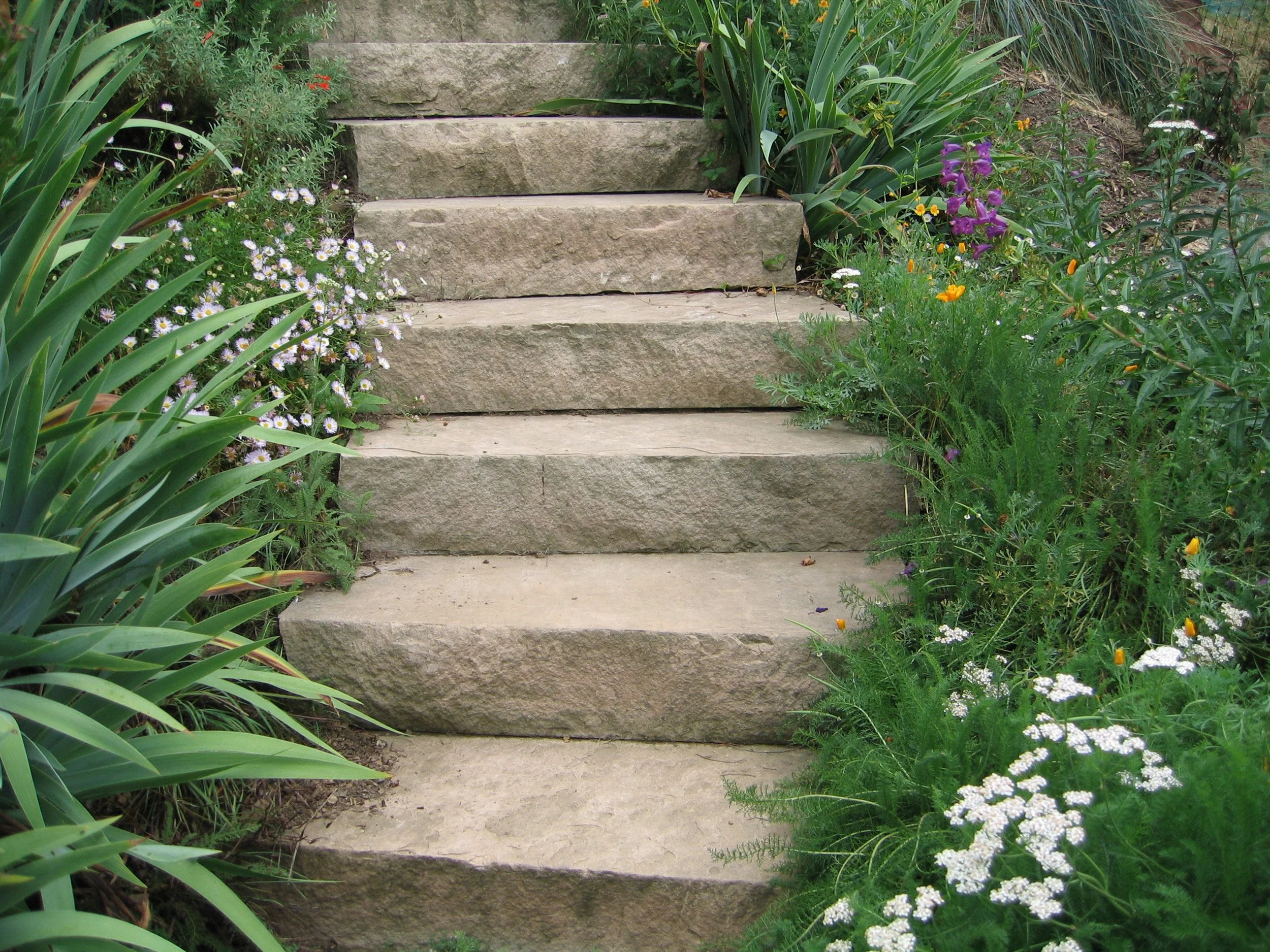 Stacked stone landscape steps flanked with California native plants and sunny perennials.