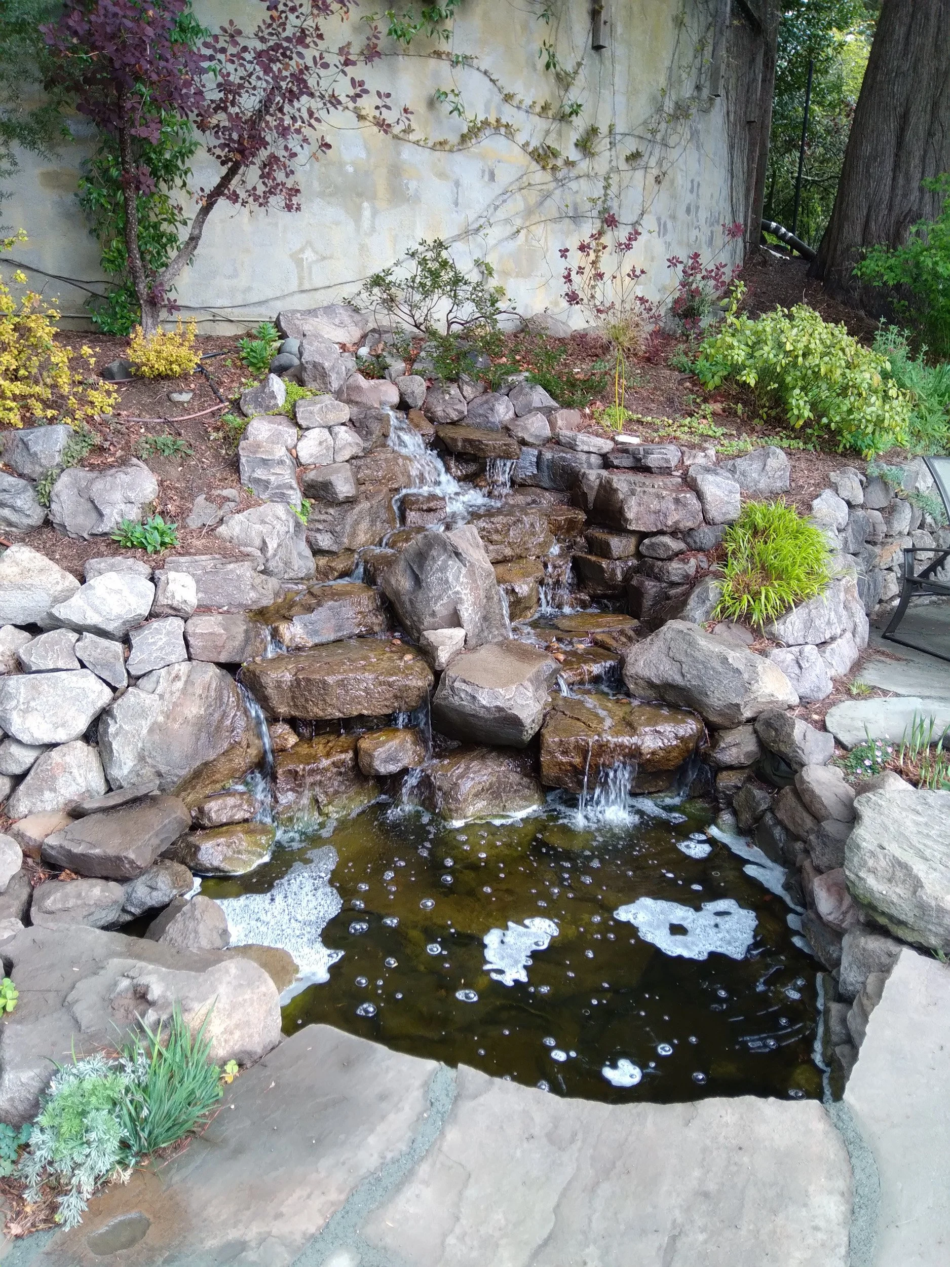 A small pond and waterfall add movement and tranquility to this hillside garden.