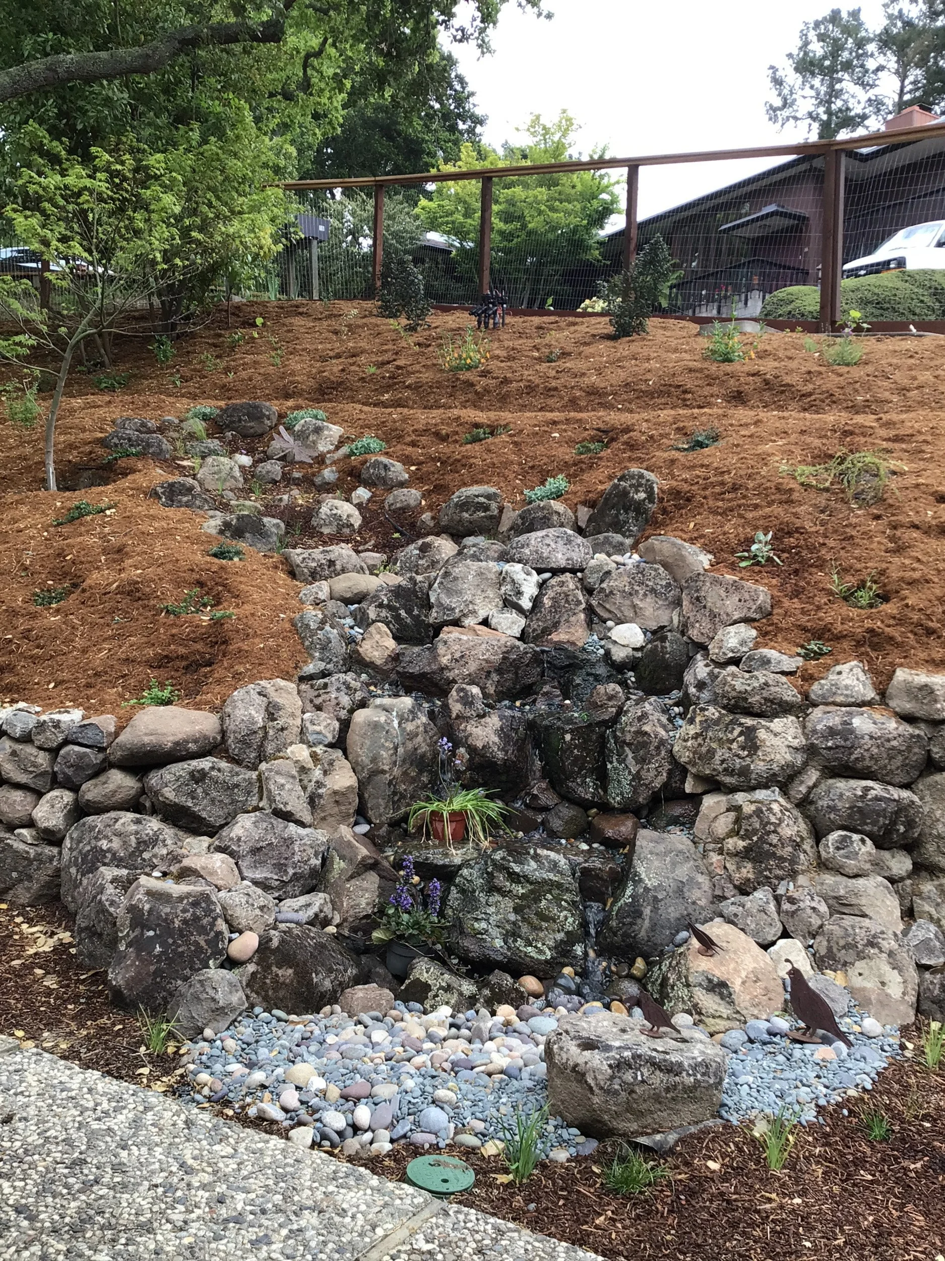 A natural stone moss rock waterfall water feature in a hillside residential garden surrounded by california native plants.