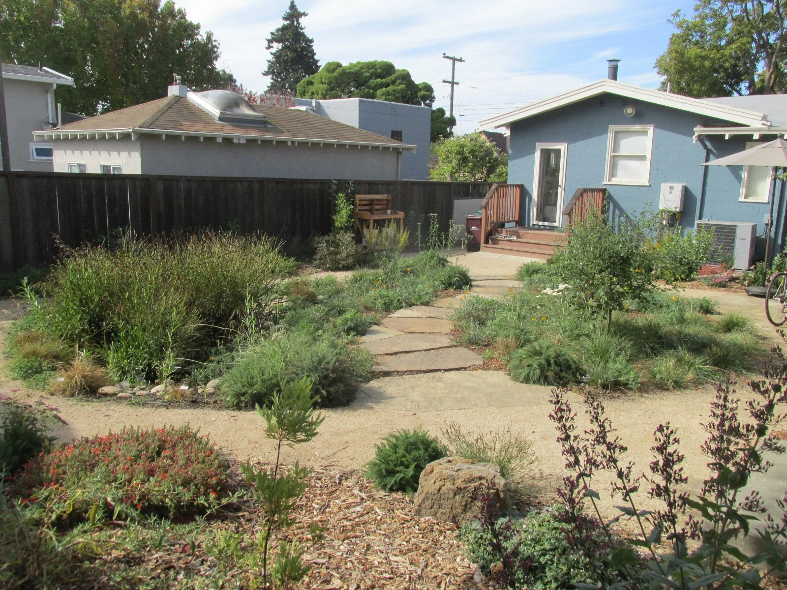 A tan organic decomposed granite and flagstone pathway in a california native plant back garden.