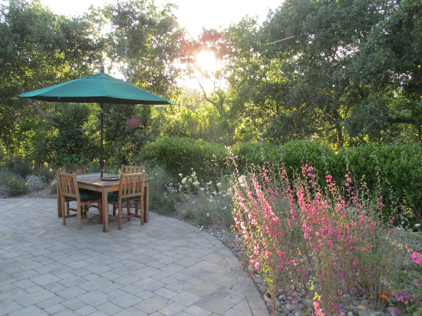 A geometric stone paver patio with an organic curved edge, surrounded by natural California native plants.