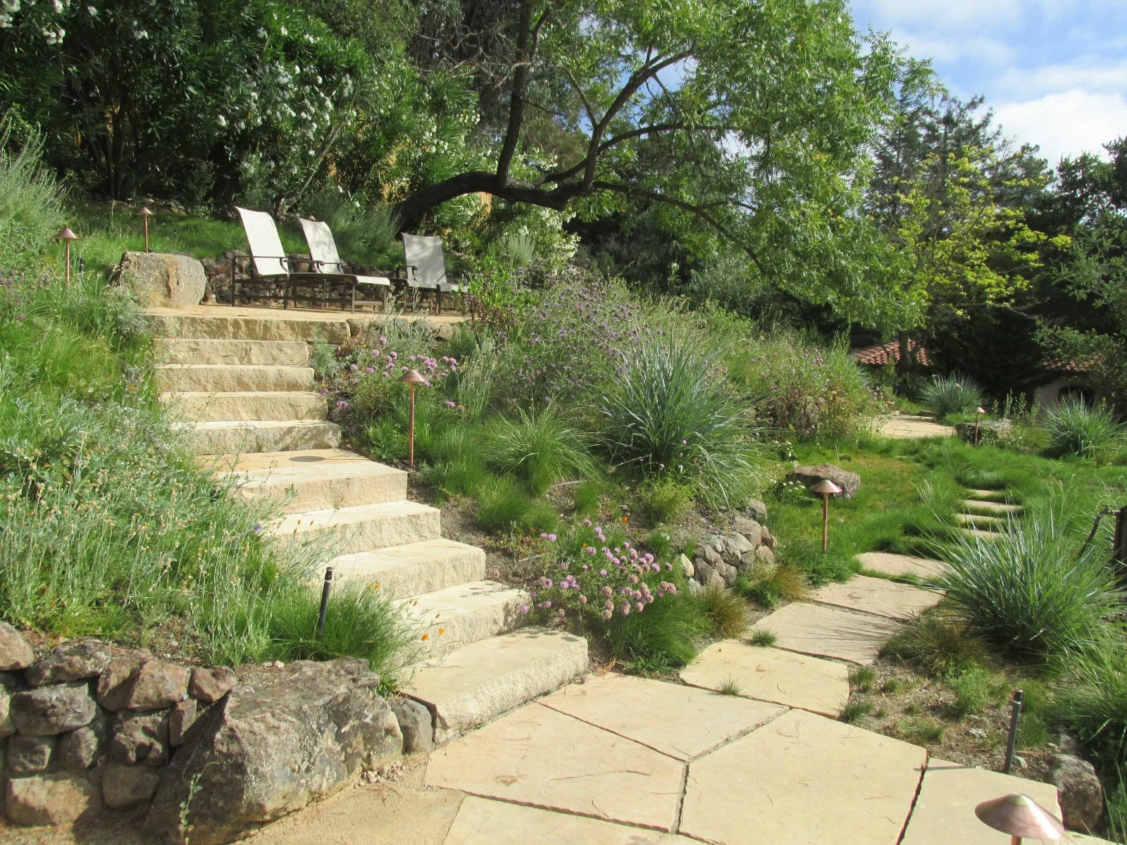 Stone landscape steps curve up a hillside with california native plants and a natural tan flagstone patio with a natural meadow.