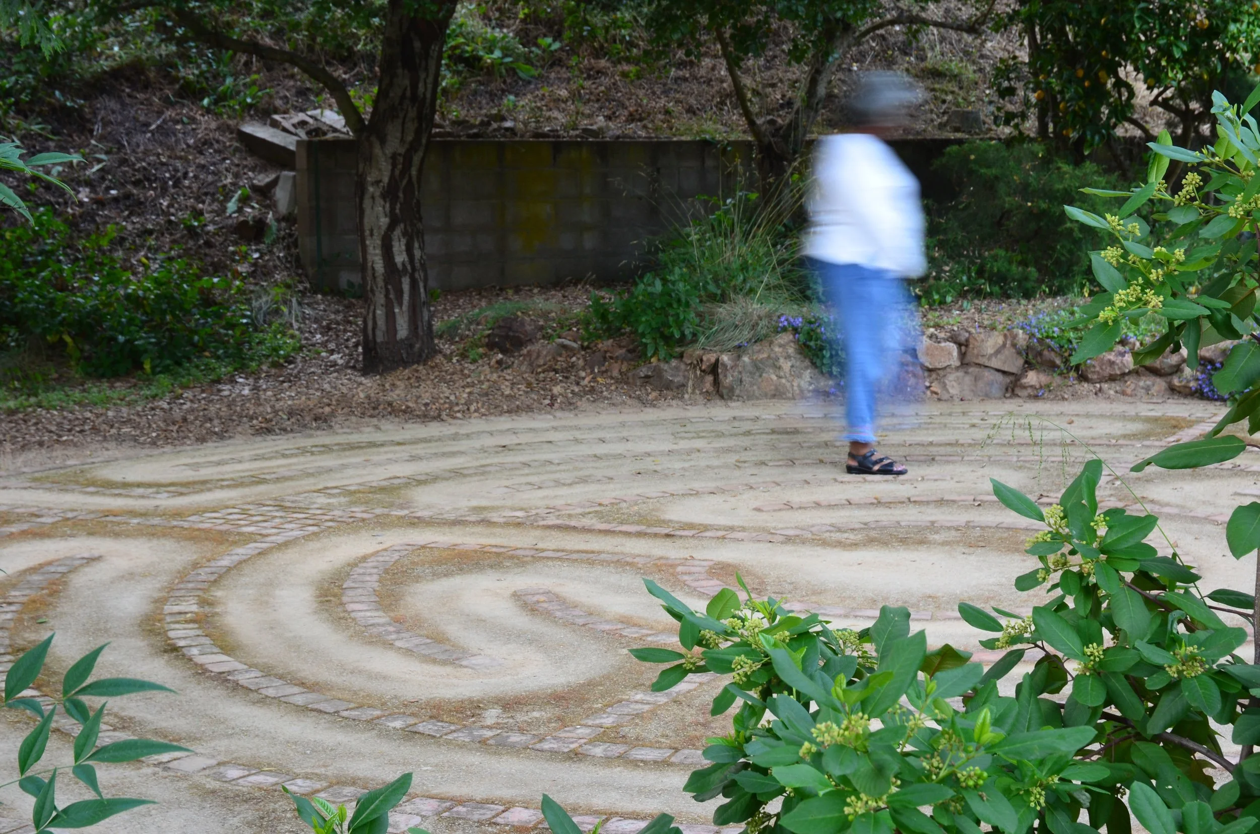 A person walks along a tan decomposed granite and cobble stone labyrinth patio in a california native plant garden.