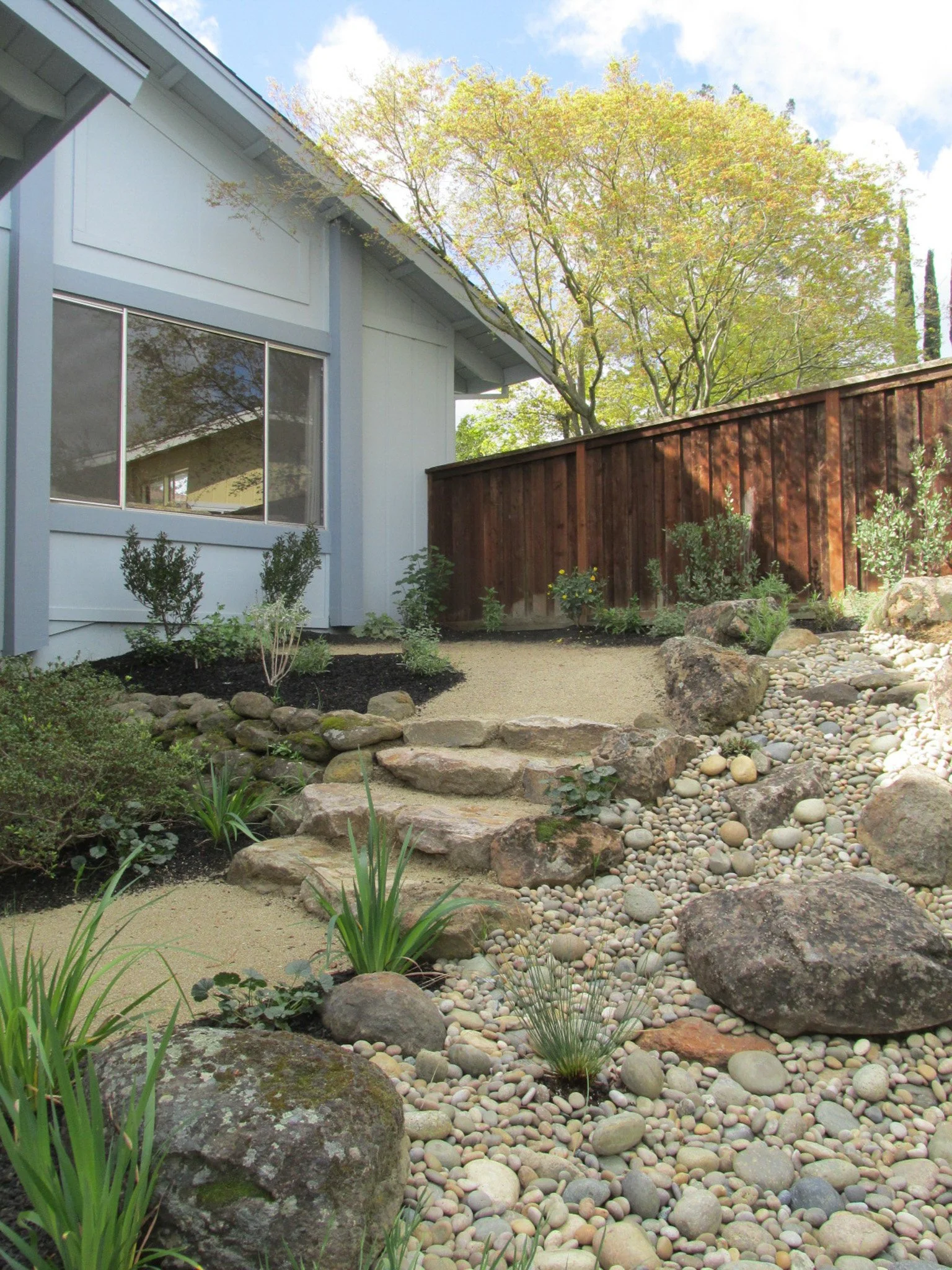 A decomposed granite pathway with natural organic edge stone steps and a boulder field with gravel mulch and california native plants in a residential landscape.