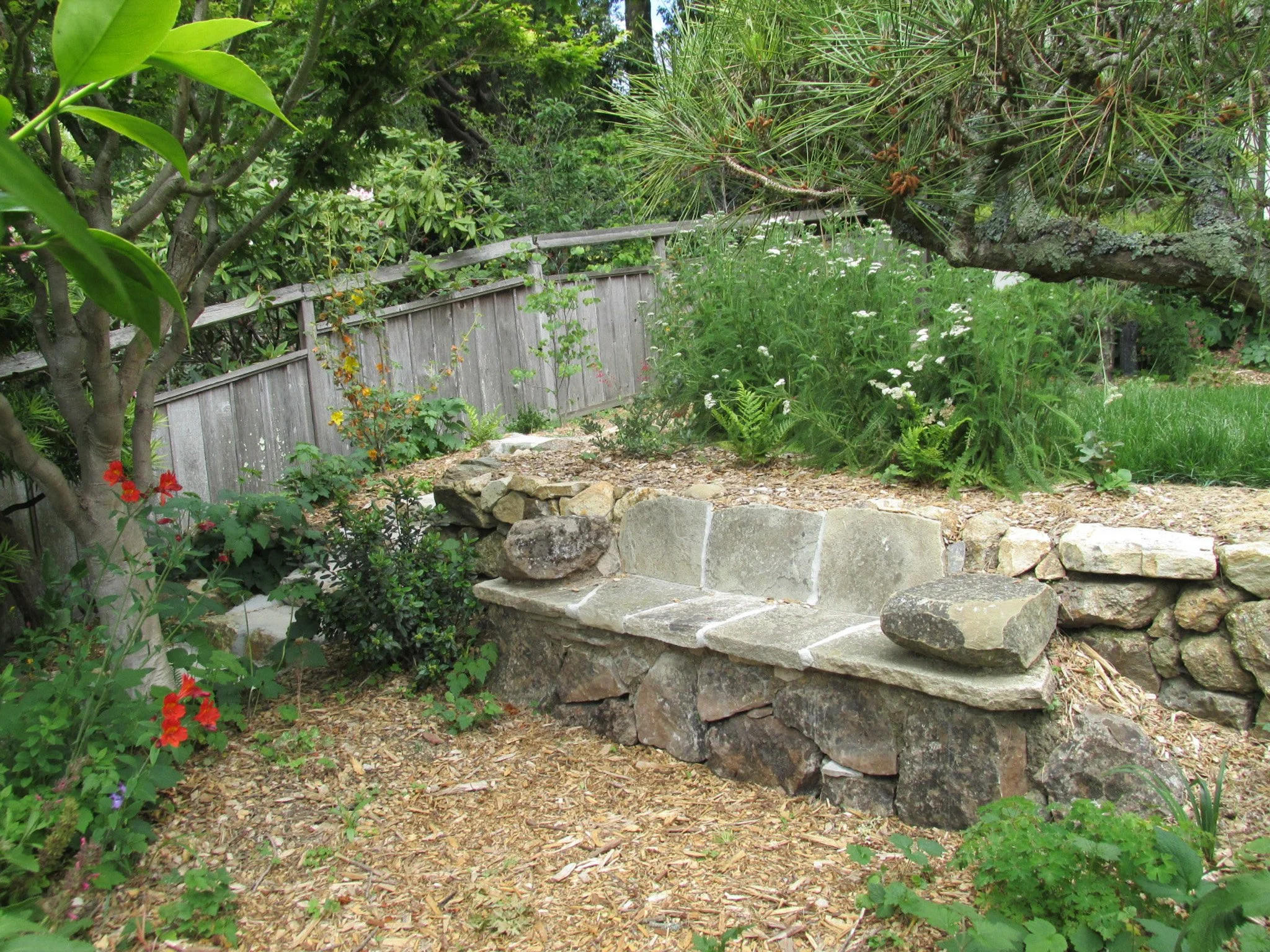 Stone bench built into wall terraced hillside grass california native plants natural garden seating rock seat