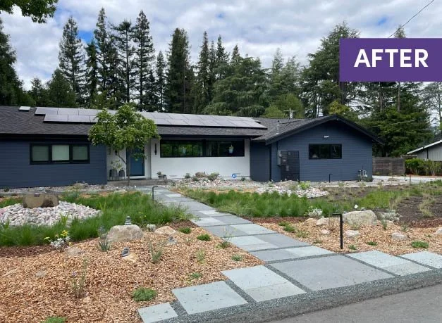 Front garden landscape design bluestone pavers modern paving pathway meadow california native plants east bay firewise waterwise bioswale rain garden