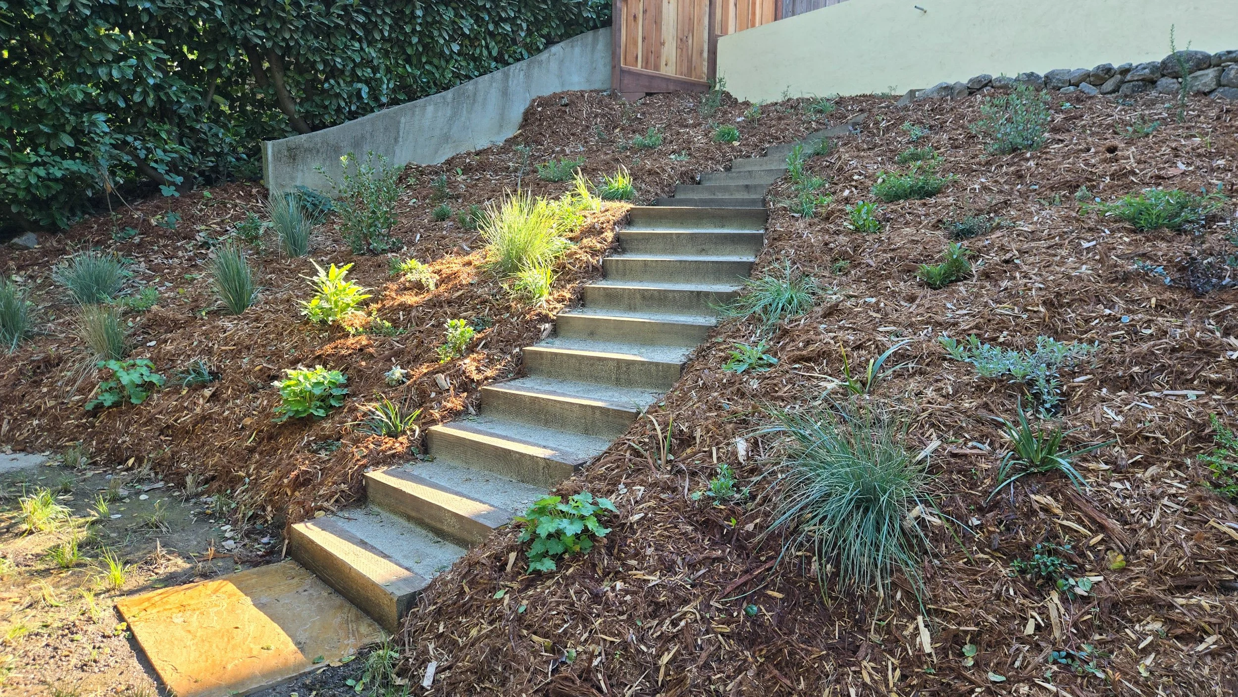 Timber tie curved wood steps with tan decomposed granite backfill in a newly planted mulched california native plant residential hillside landscape.