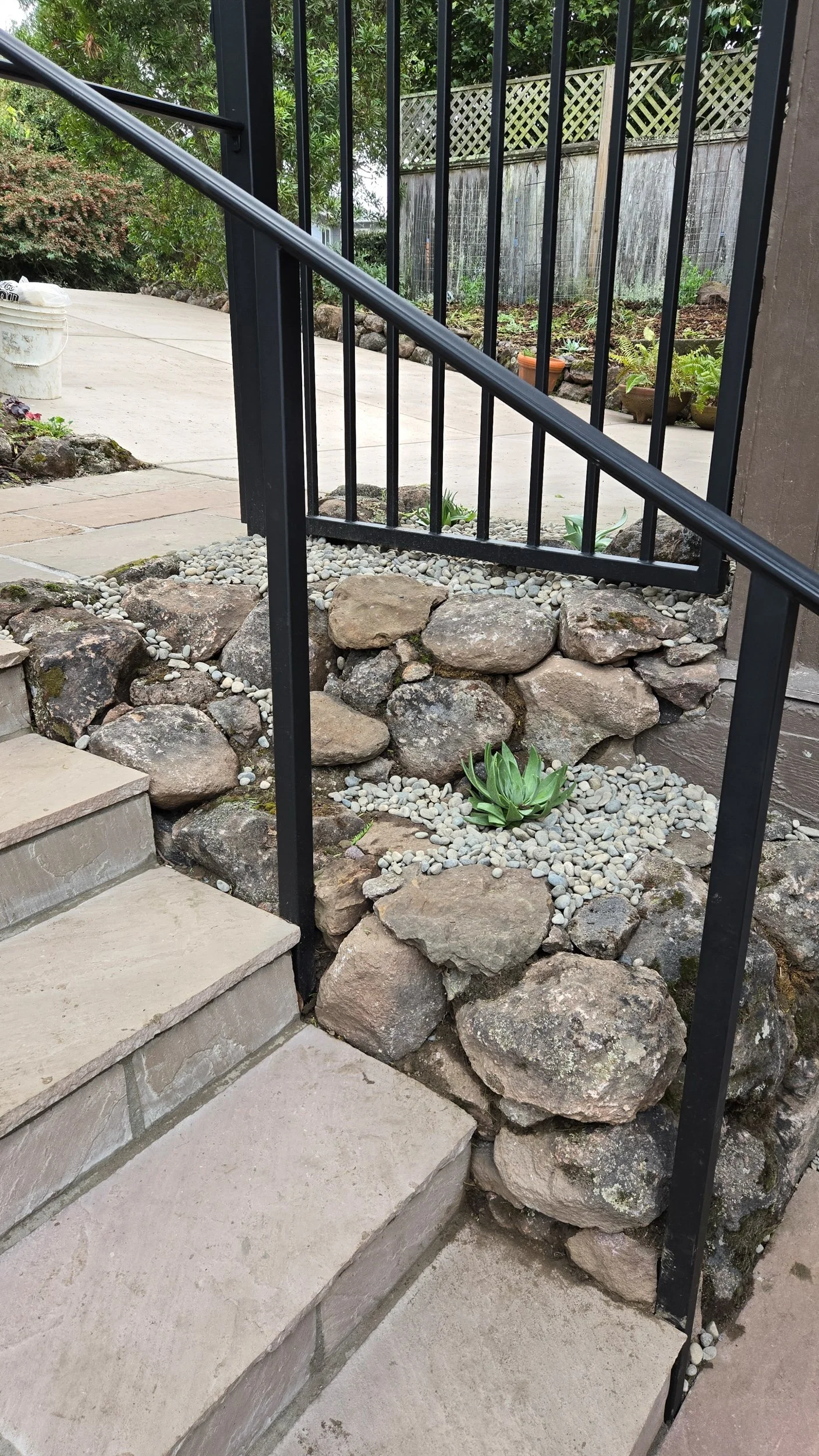 Moss rock walls and stone steps with a metal railing intersect in this firesafe berkeley hills bird garden filled with california native plants