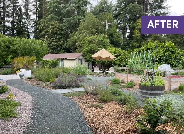 Residential garden design california native plants ecological landscape waterwise edible plants DG pathway decomposed granite cottage garden east bay danville