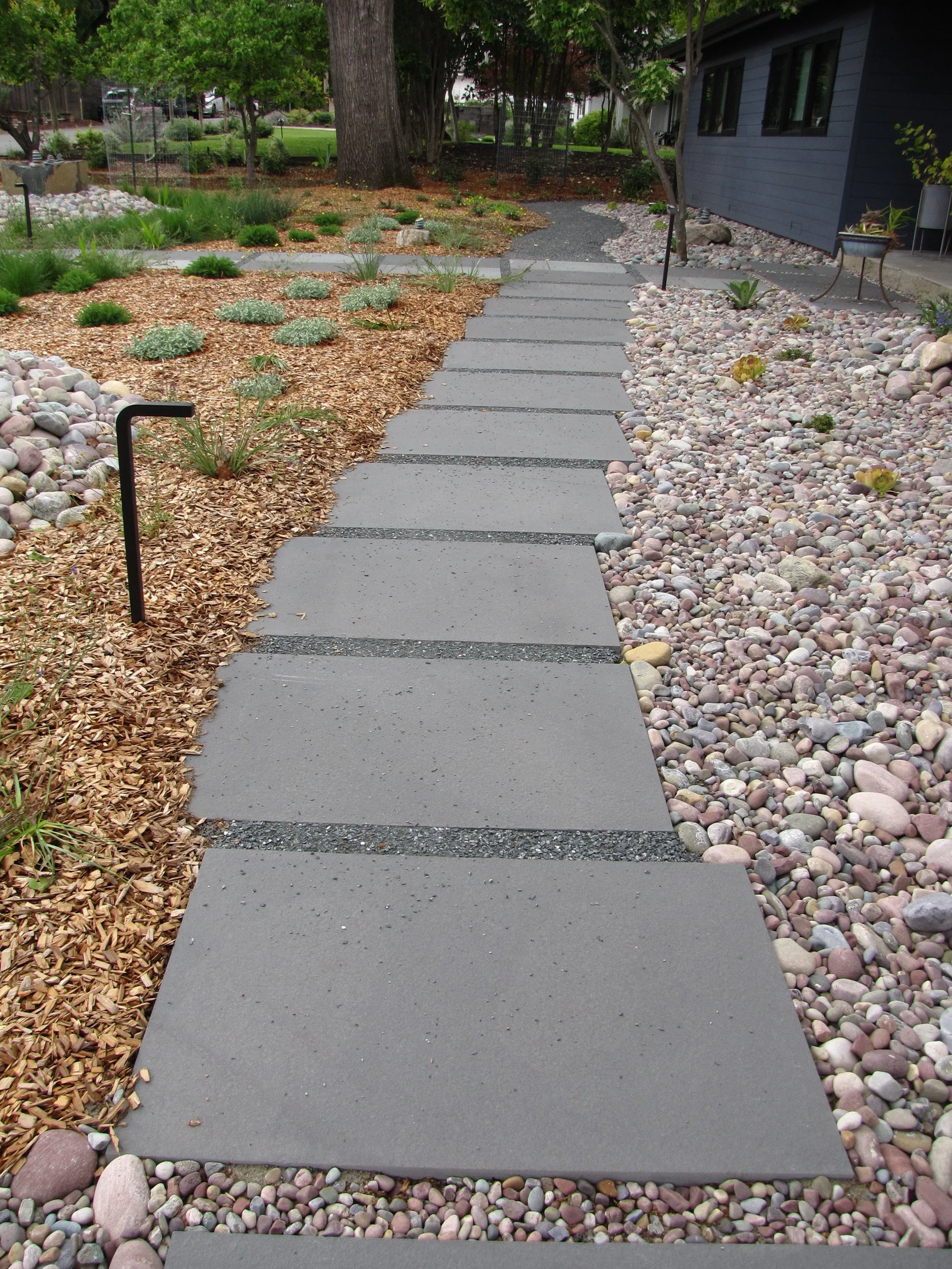 A curving bluestone pathway along a front garden residential home with gravel mulch for firescaping and a california native meadow.