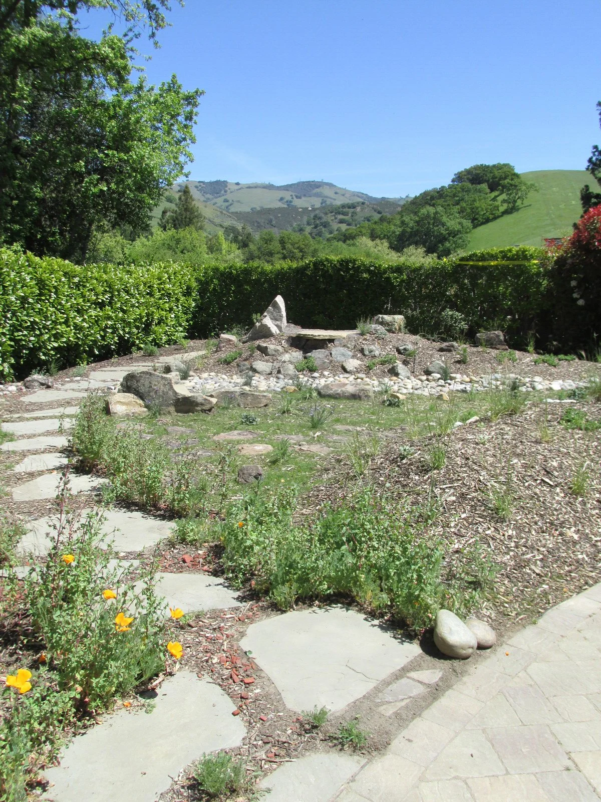 A triangular rock echoes the peak of Mt. Diablo in the distance in this California native meadow garden. Natural organically curved flagstone paths guide you through the foothill section of this garden.