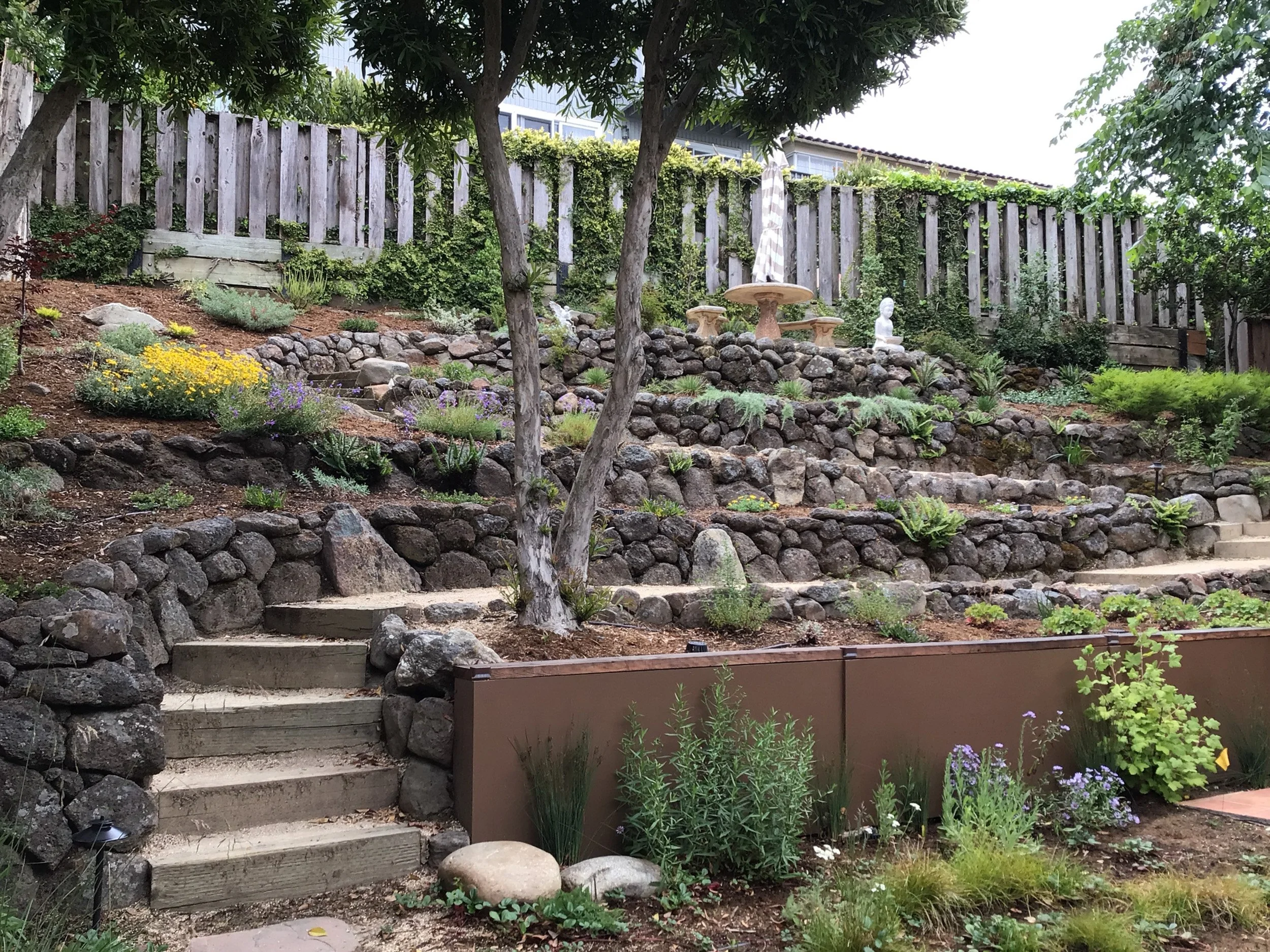 Wood timber tie steps up a terraced hillside with dry stacked moss rock stone walls and california native plants.