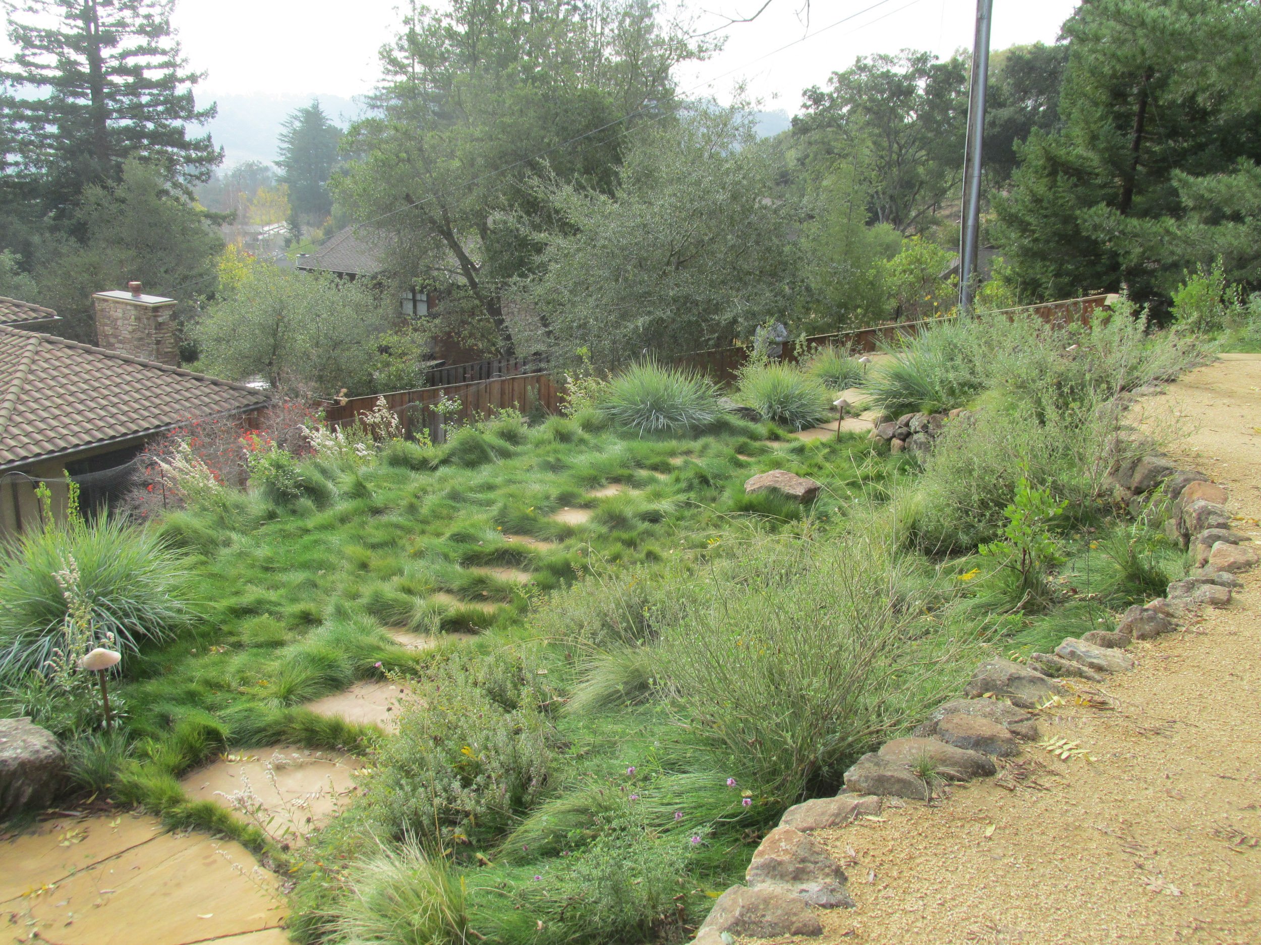 California native plants landscape lighting natural meadow flagstone paving stone steps rock wall sunny slope terrace boulder garden wildlife pollinator plants
