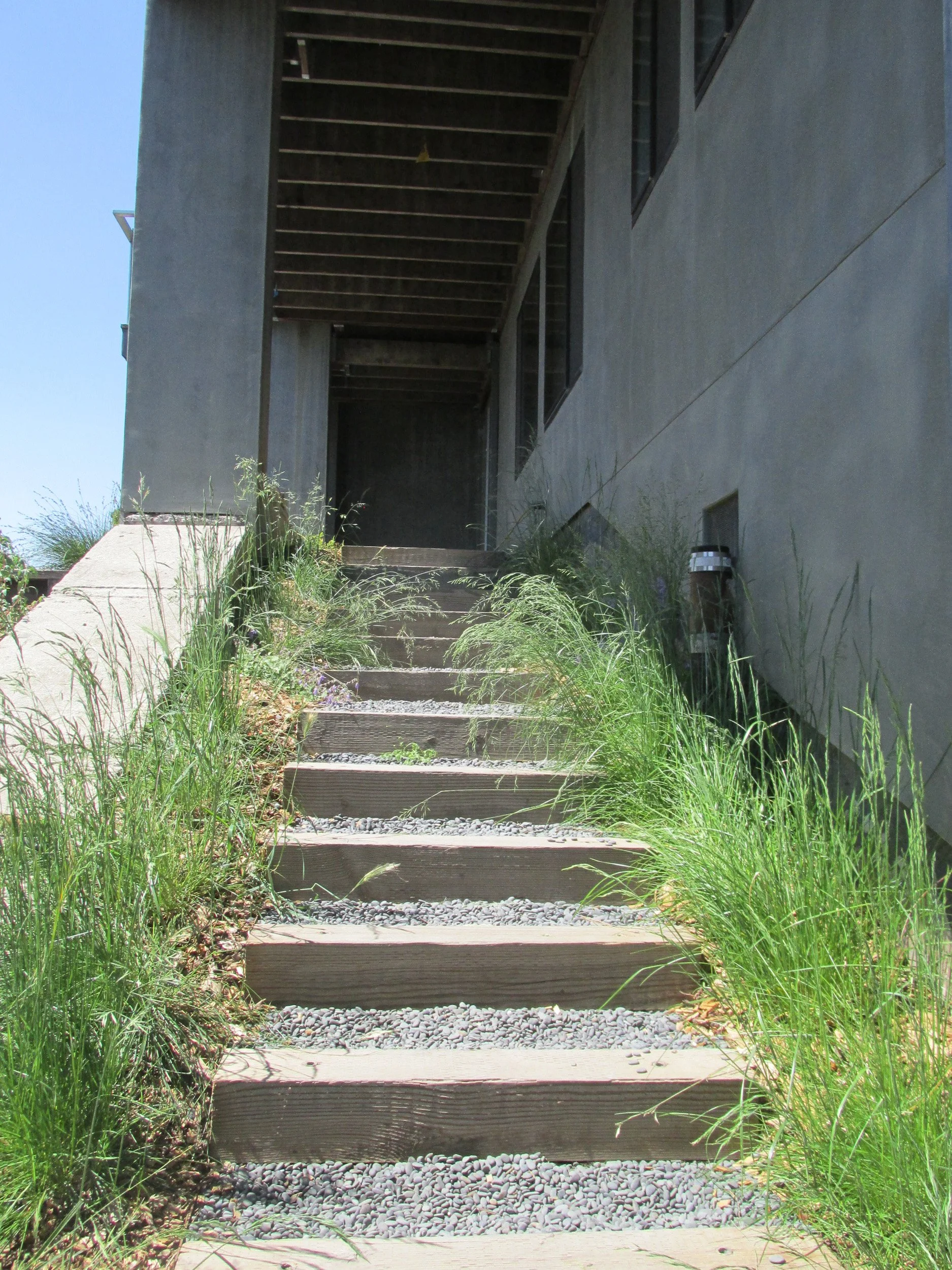 Timber tie wood steps and grey gravel with california native bunch grass edges.