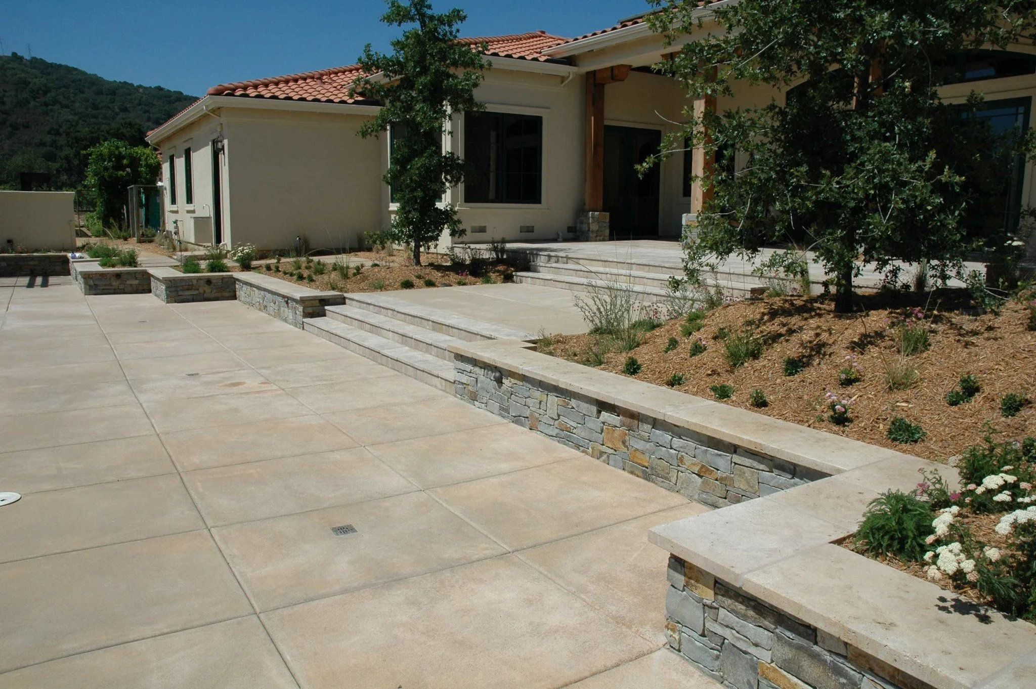 Poured concrete patio with formal geometric stone seat wall and california native plants in residential back garden.