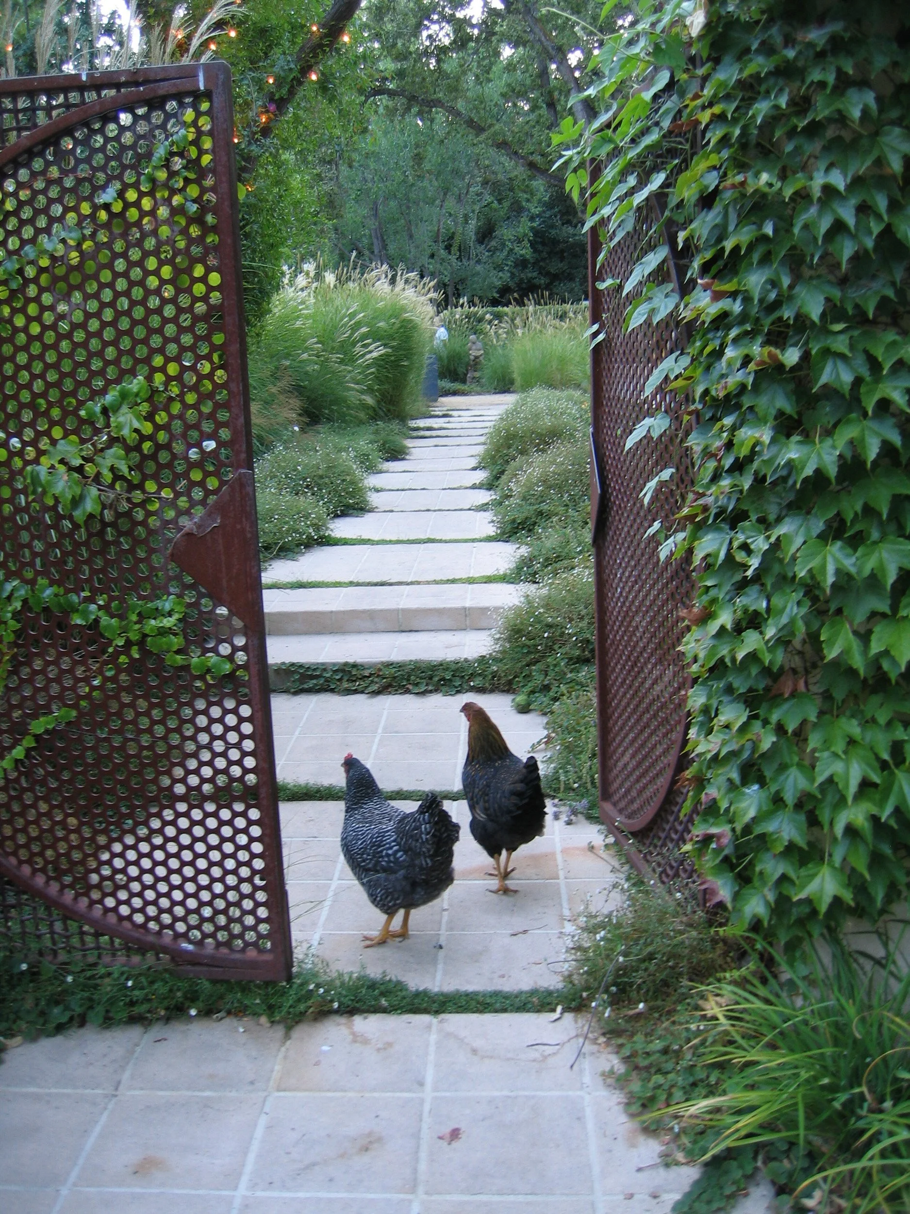 A corten steel round garden entry gate with chickens