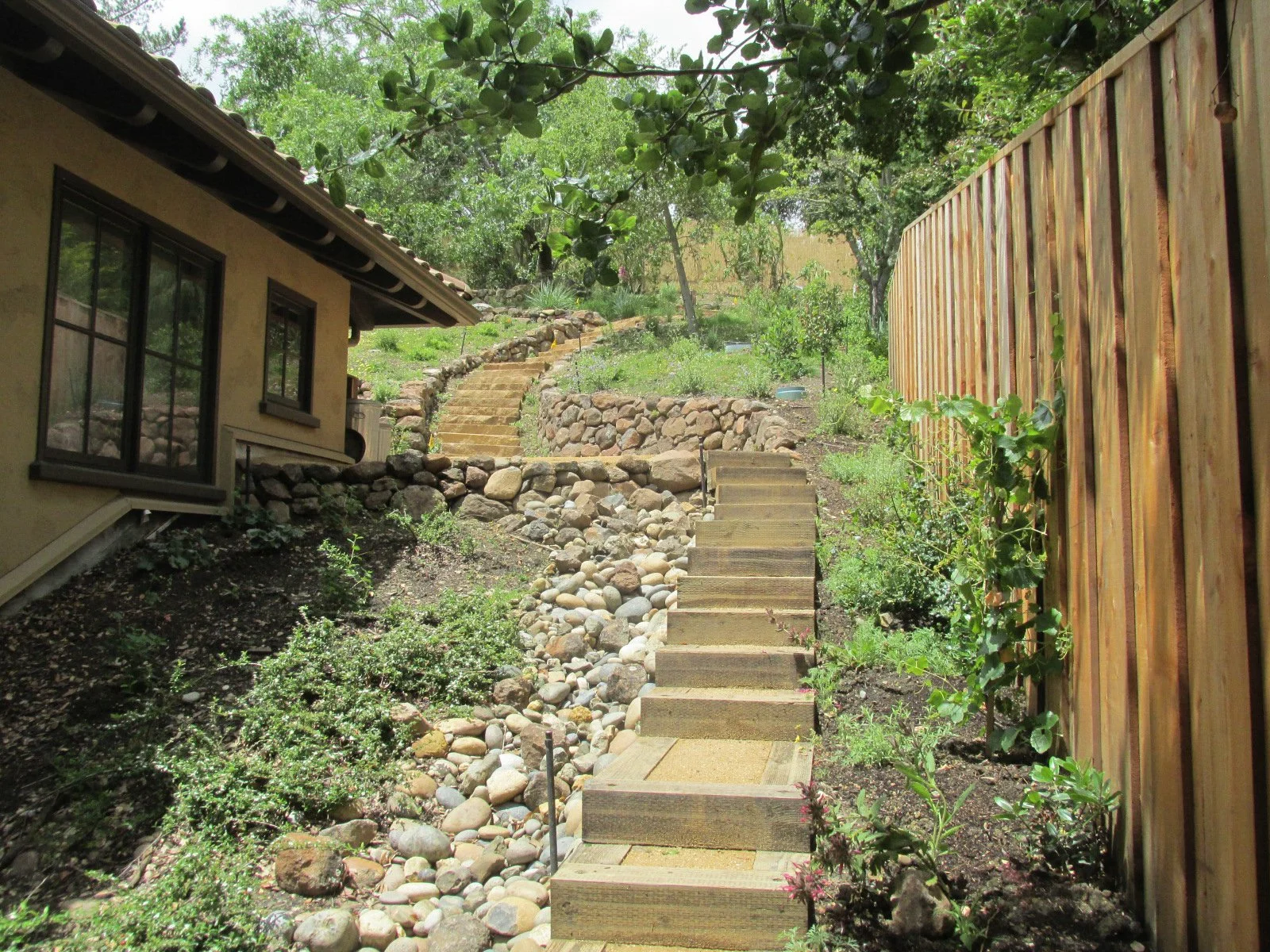 Timber tie utility steps with DG infill give easy access in the side yard of this California native hillside garden.