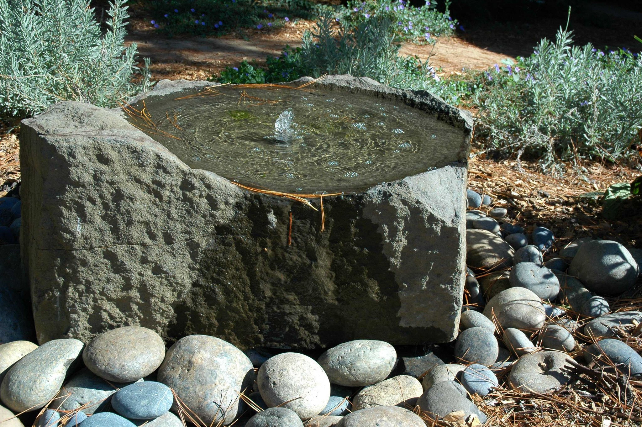 Low wide stone fountain basin bird bath with round stone pebbles and california native plants.
