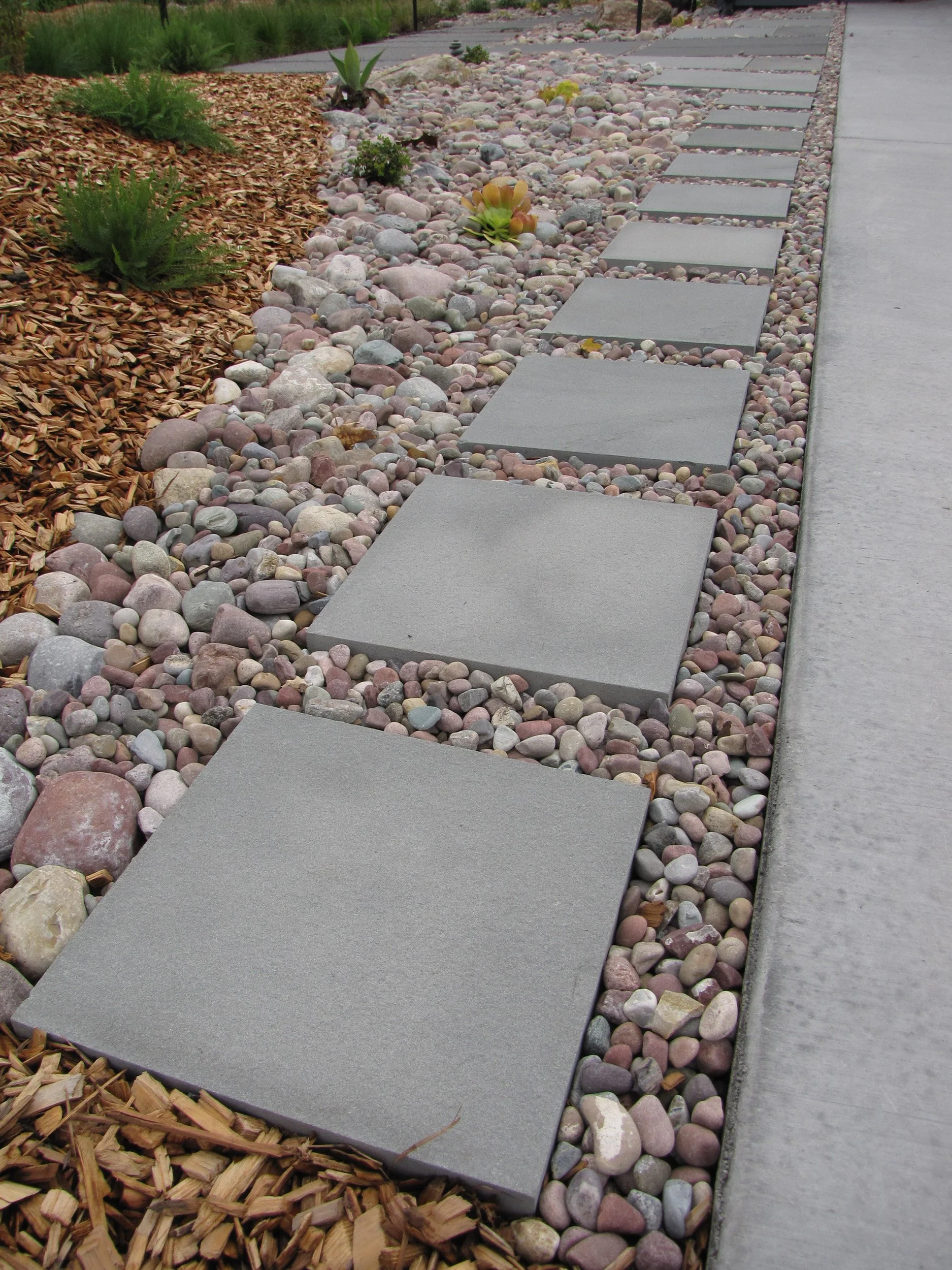 Front garden landscape design bluestone pavers modern paving pathway meadow california native plants east bay firewise