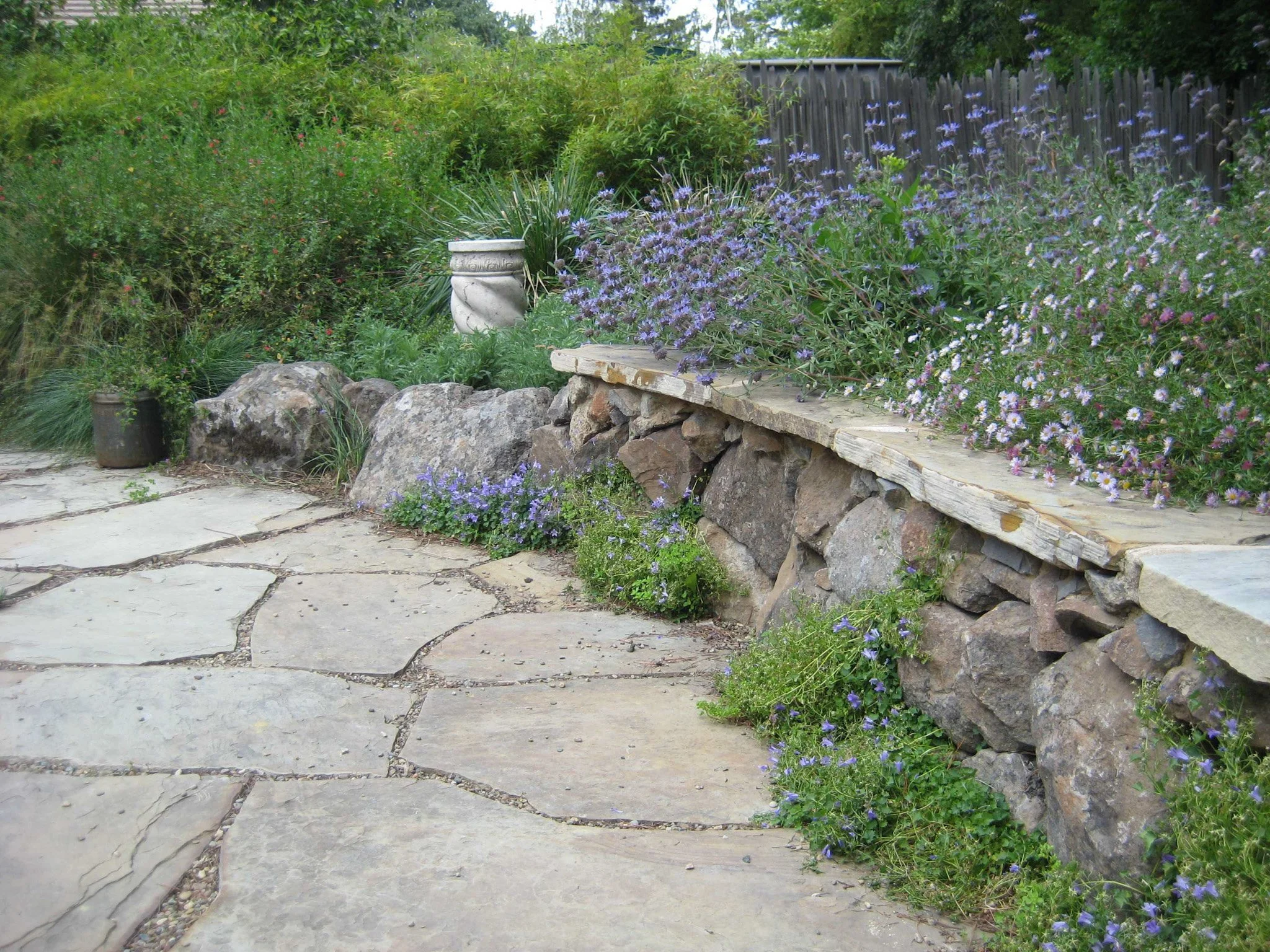 Dry stacked moss rock stone wall with a flat flagstone bench seat top and a natural grey flagstone patio with california native plants.