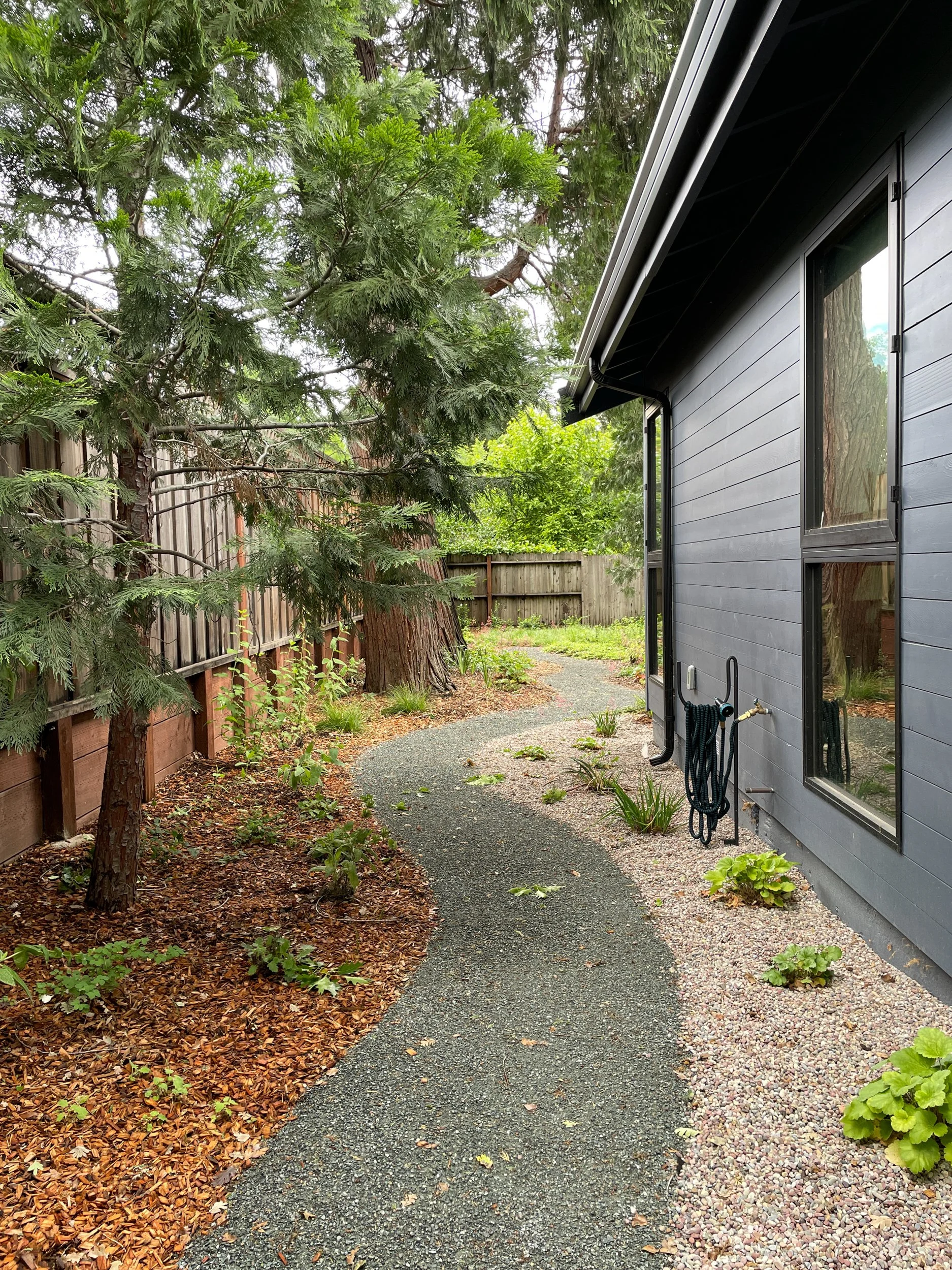 Residential garden design california native plants ecological landscape waterwise firewise  DG pathway decomposed granite microforest shade garden east bay danville