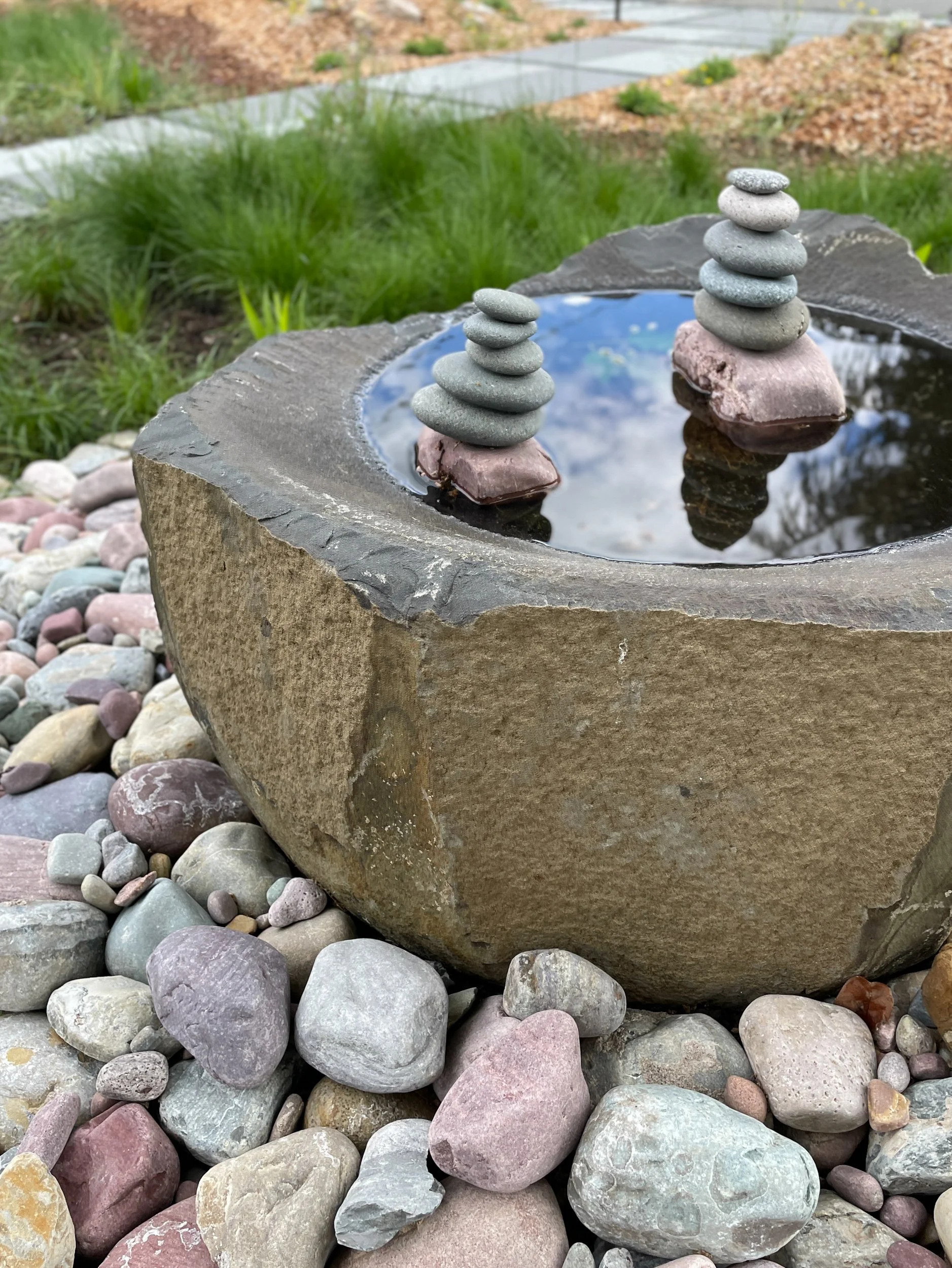 Stone basin bird bath water cairn stacked stone pebble base meadow sunny california native plants ecology natural garden