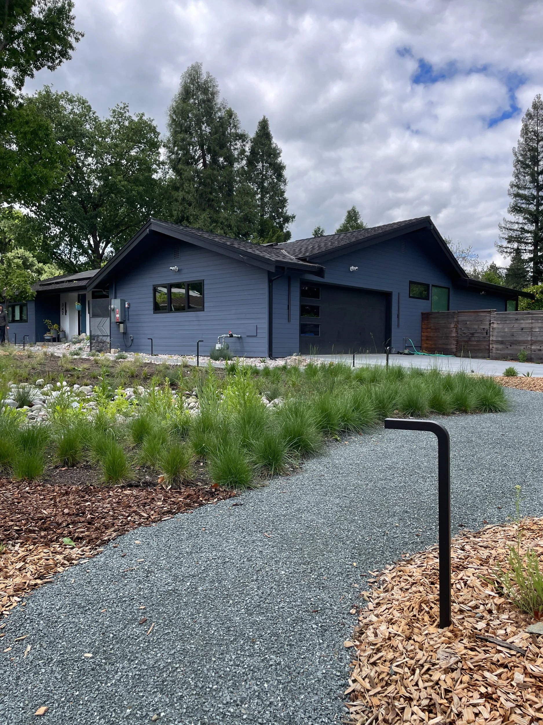Front garden landscape design meadow bioswale rain garden California native plants ecological DG pathway decomposed granite modern lighting