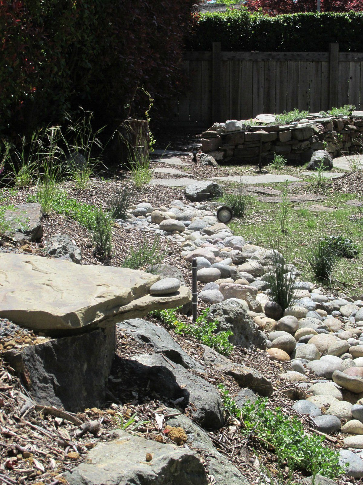 A river of rocks snake through the California native meadow in this Mt. Diablo garden, mimicking the foothills of the mountain range.