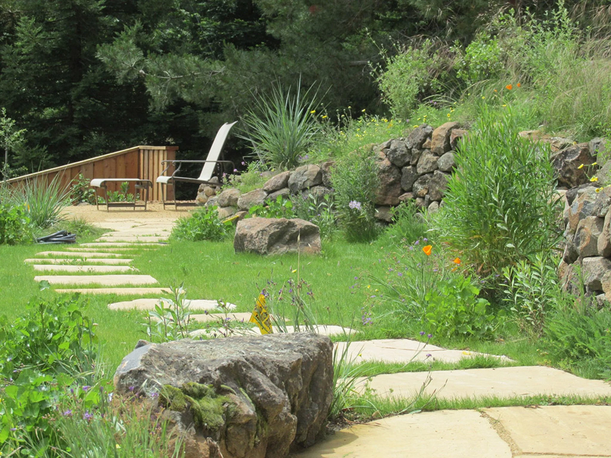 A large boulder next to a natural tan flagstone pathway through a california native meadow and a dry stacked stone rock wall.