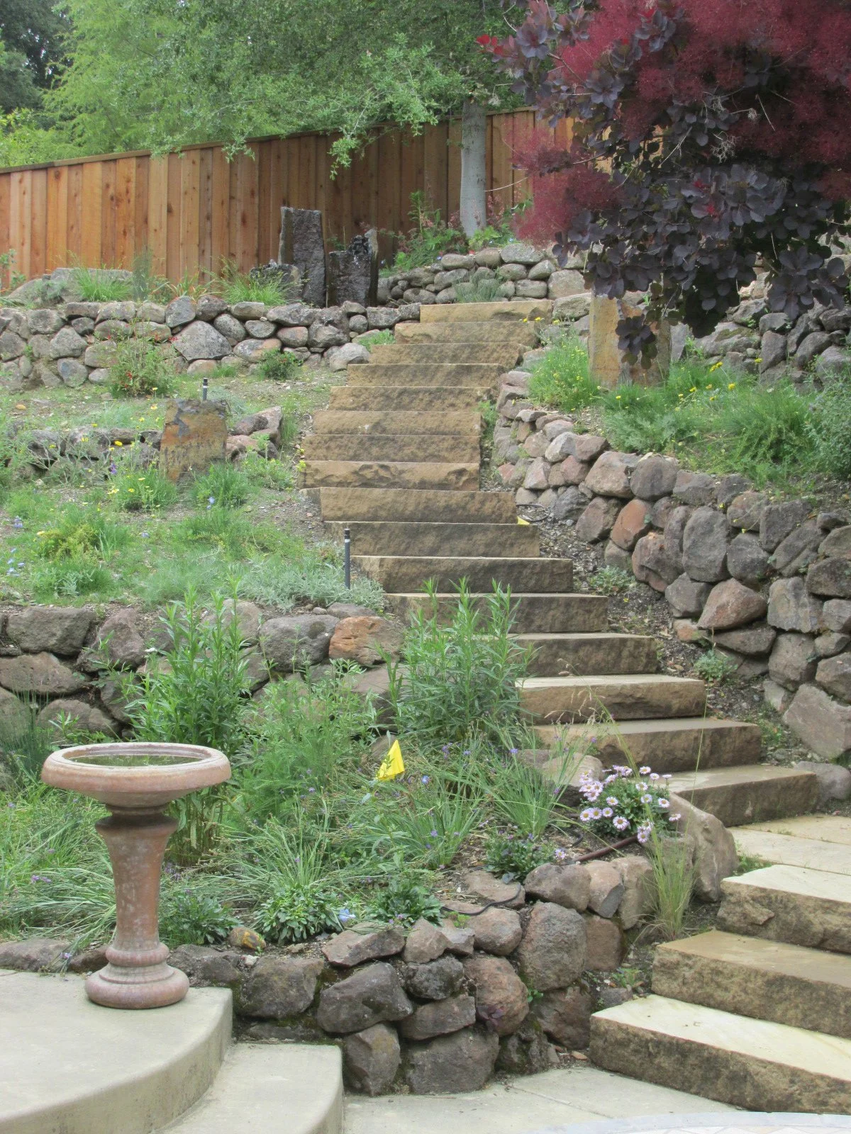 Stone steps curve organically up the steep hillside in this terraced wildlife garden, and a stone birdbath complements the natural stone walls near native plantings.