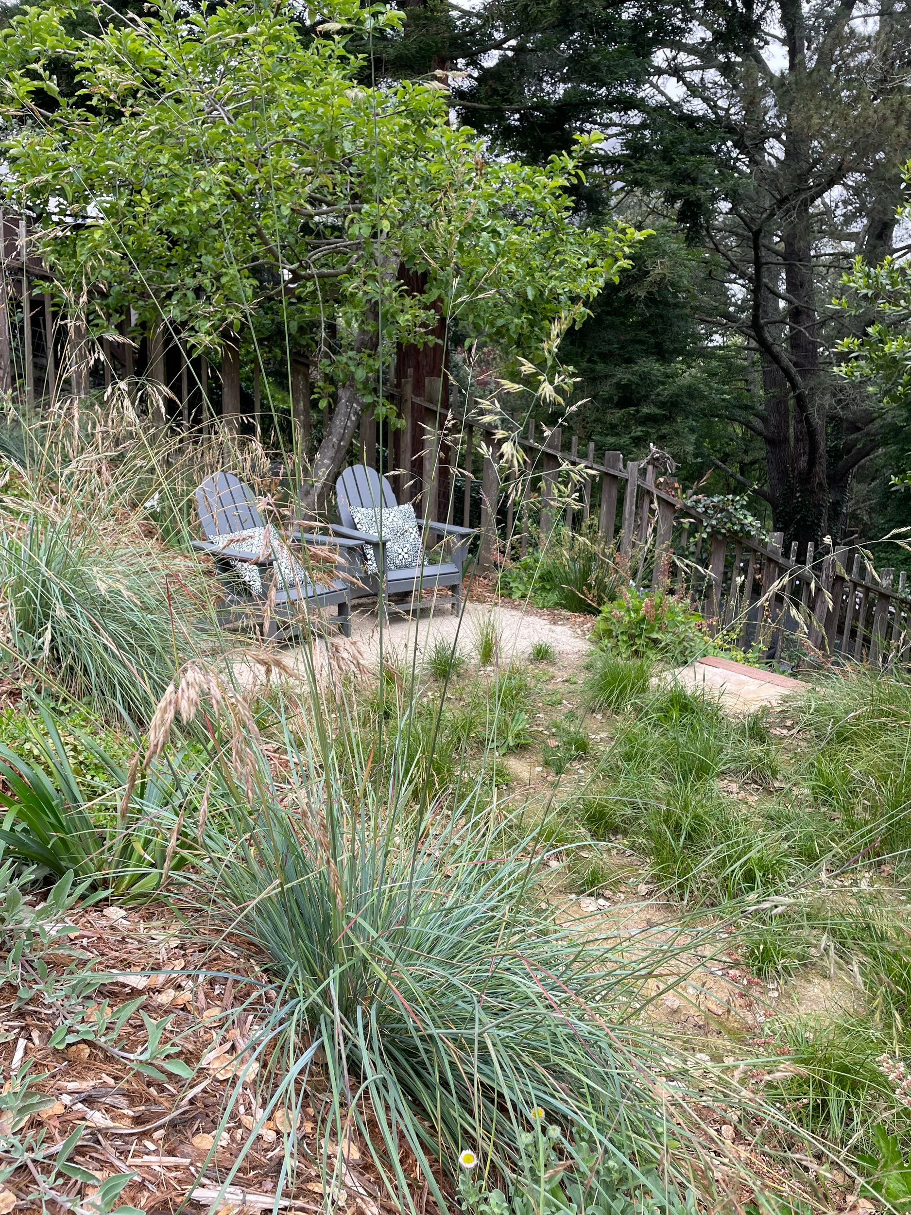 Adirondack chair seating area decomposed granite dg patio next to a california native meadow in an oakland sloped hillside pollinator garden