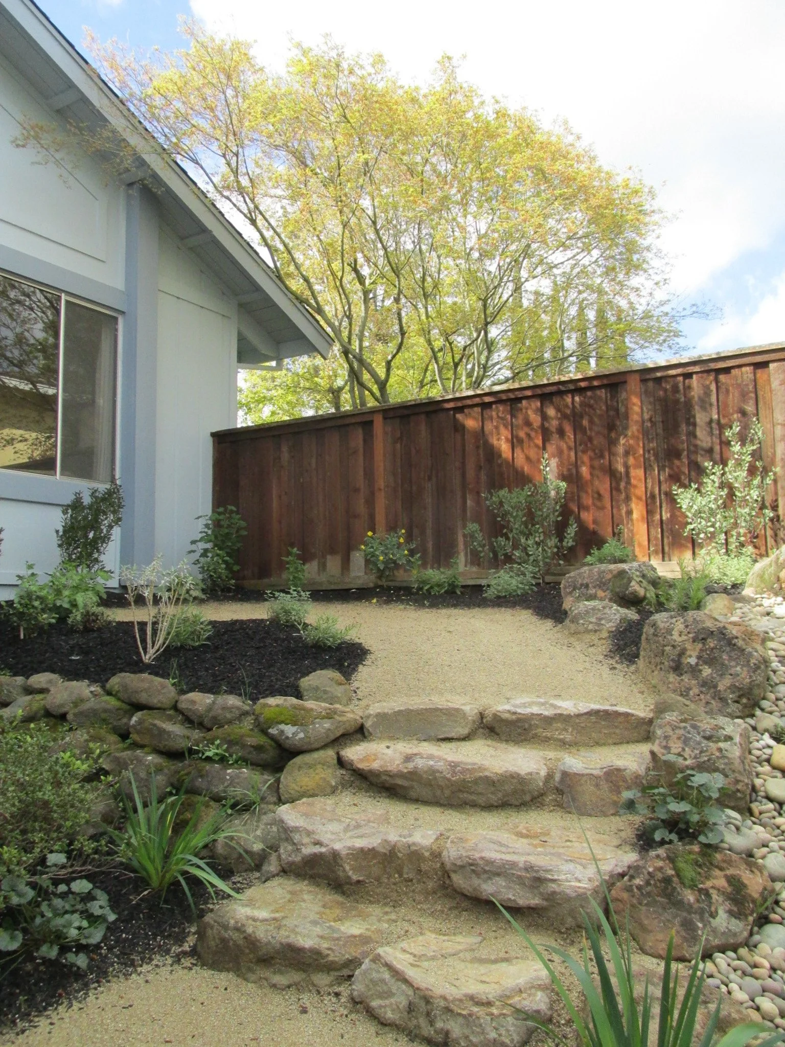 Organic stone steps with tan decomposed granite pathway and dry stacked moss rock stone walls in a california native plant residential garden.