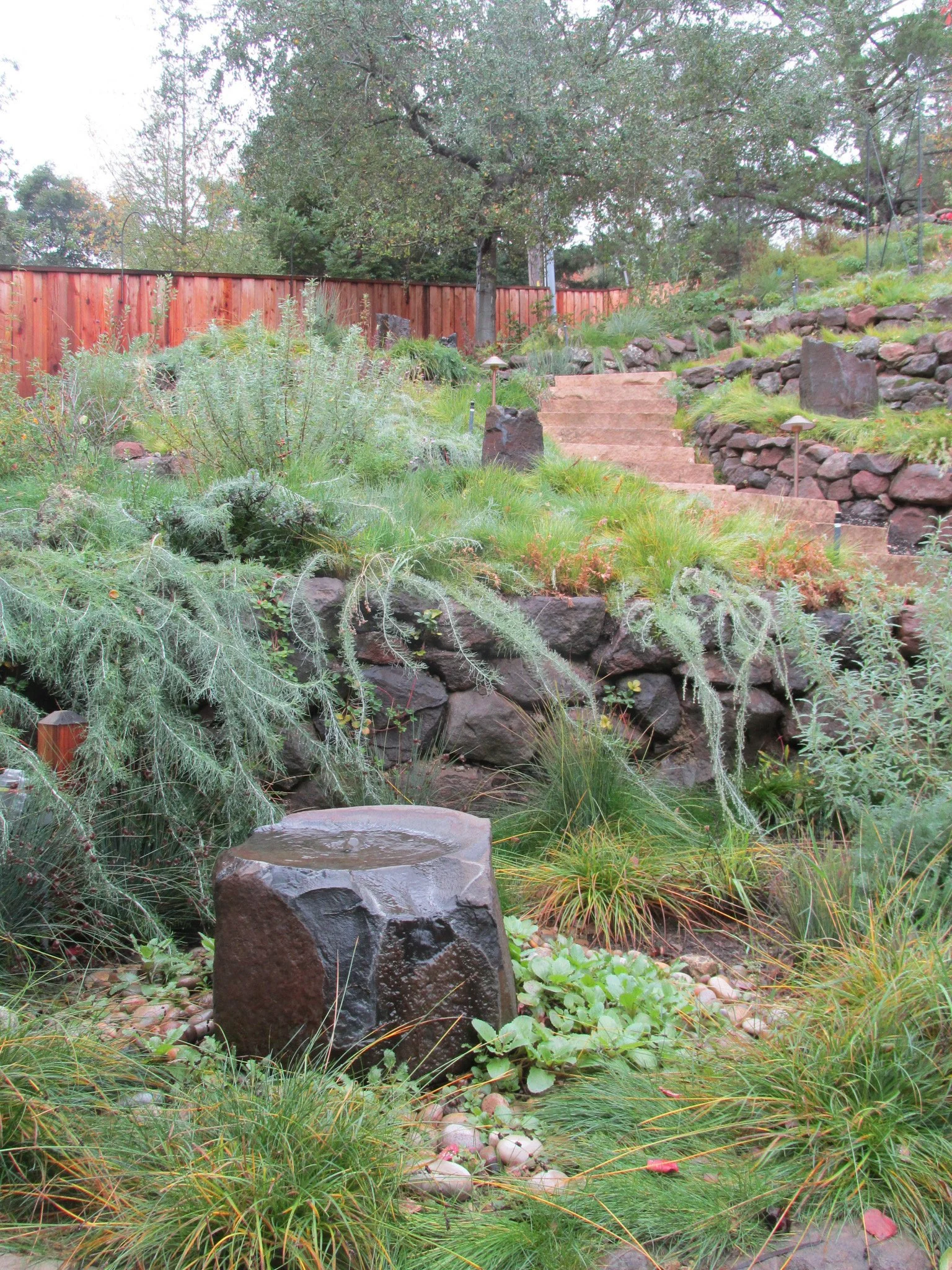 Stone basin water feature bird back at base of a terraced hillside garden with dry stacked stone walls and california native plants like artemesia californica.