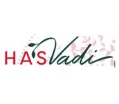 Logo with the text 'HASSadi' in stylized font, with decorative pink and green elements.