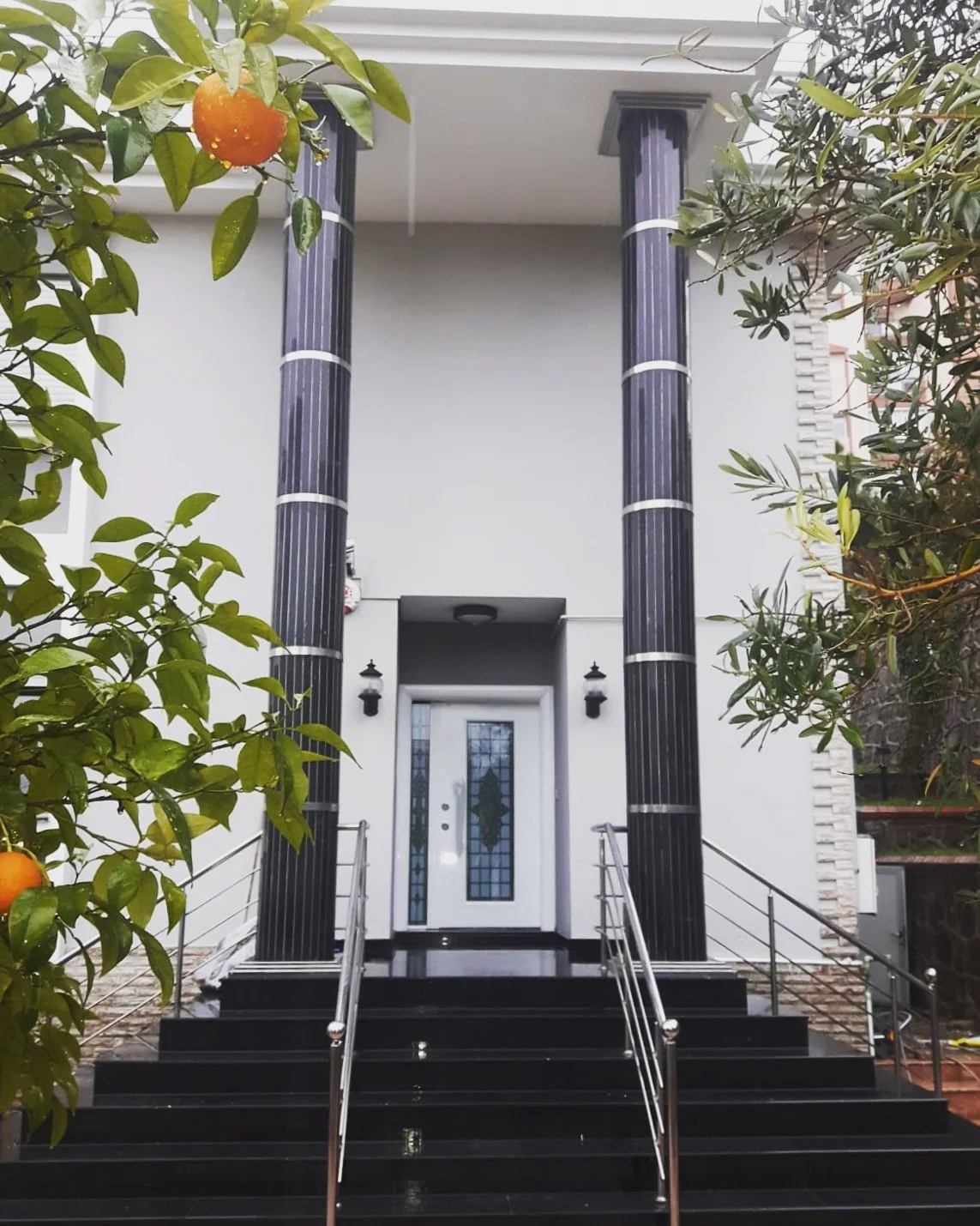 Front view of a modern house entry with black steps, metal railings, black columns, a white door with glass panels, and exterior lamps. Green foliage and orange fruit trees are visible on both sides.
