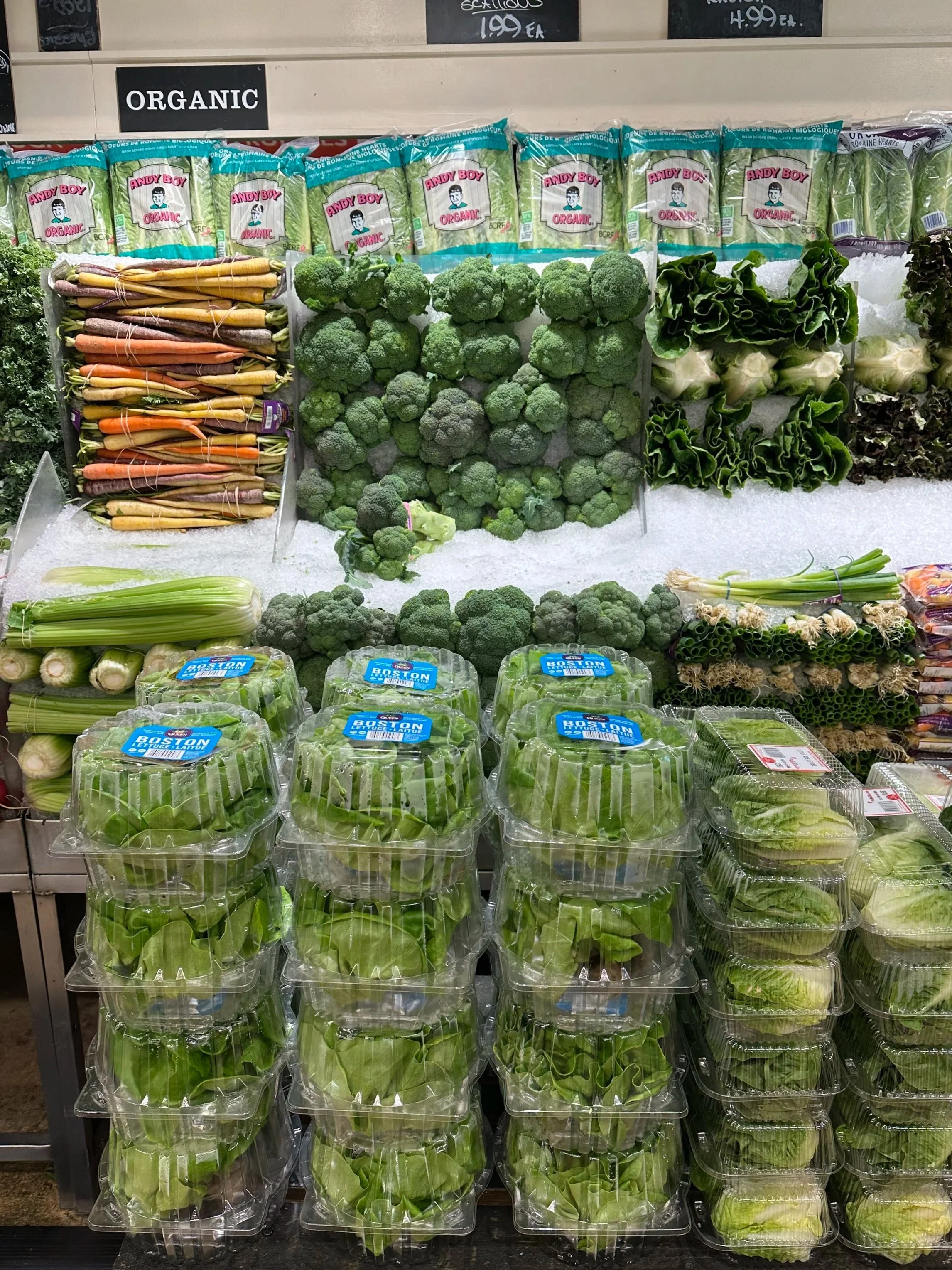 Display of fresh organic vegetables and leafy greens in a grocery store produce section, representing intentional grocery shopping and healthy food choices through the Nourished Grocery Experience.