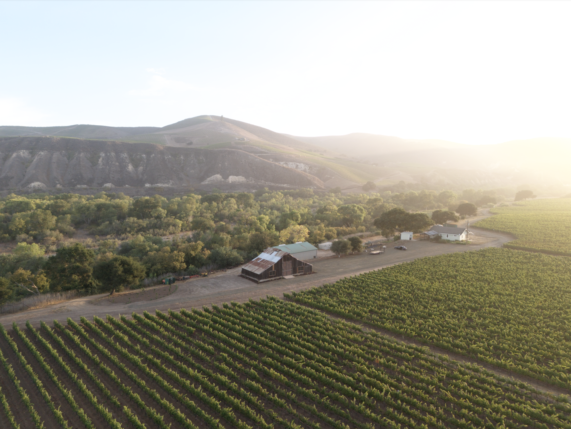 Fiddlestix Vineyard, Sta. Rita Hills, with farm buildings and rolling hills at first light.