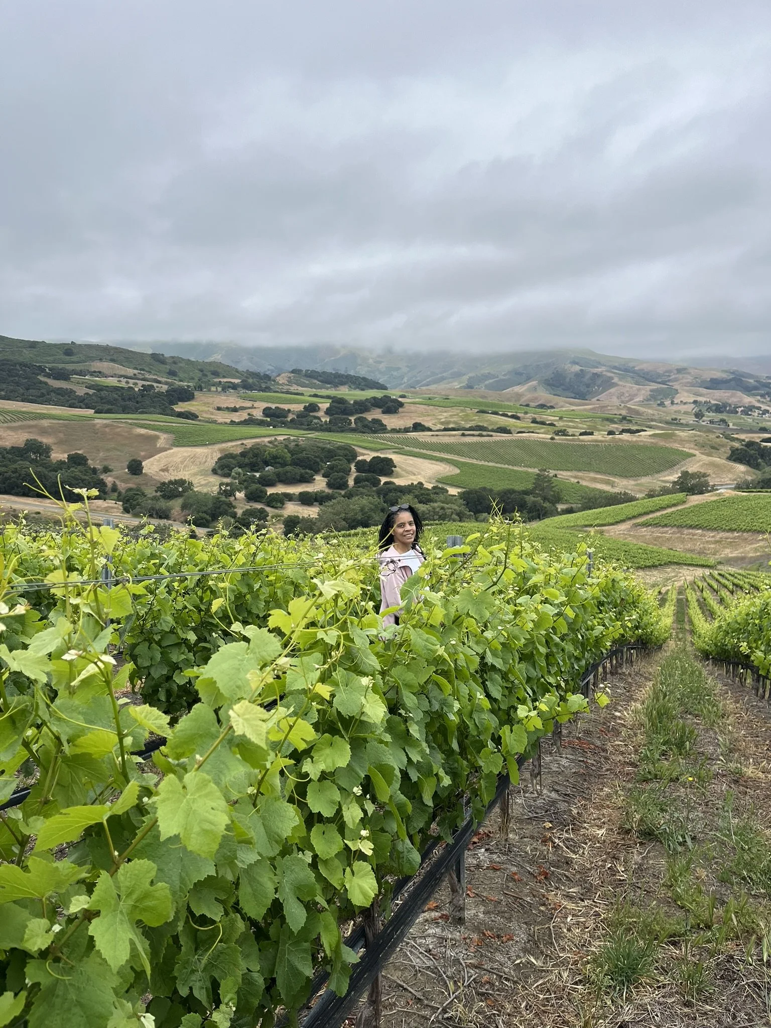 Three Hours Before Harvest