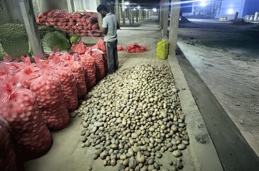 बंगाल चुनाव में आलू का भी दर्द; भाजपा को क्यों दिख रही है उम्मीद